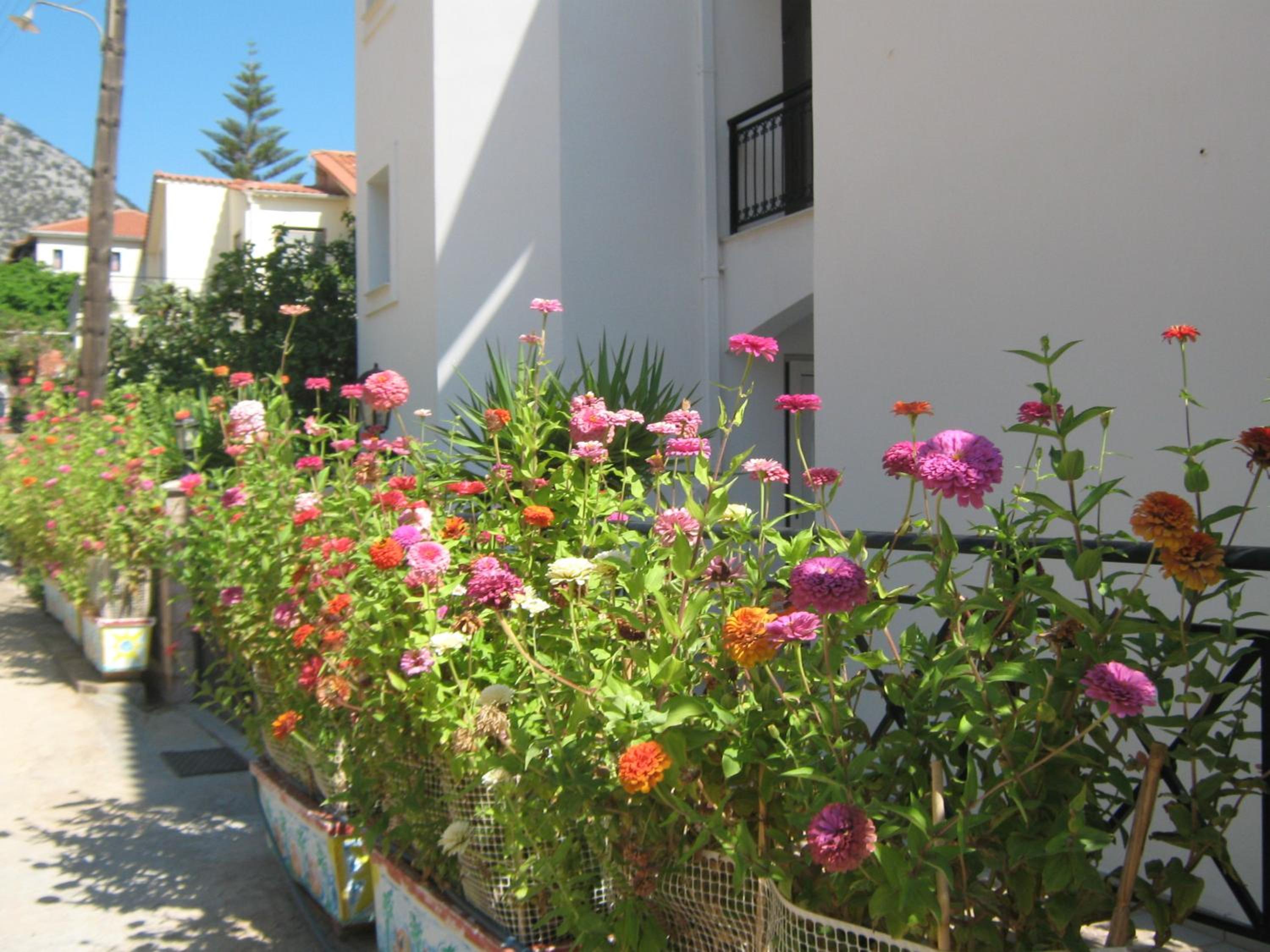 Friderica House