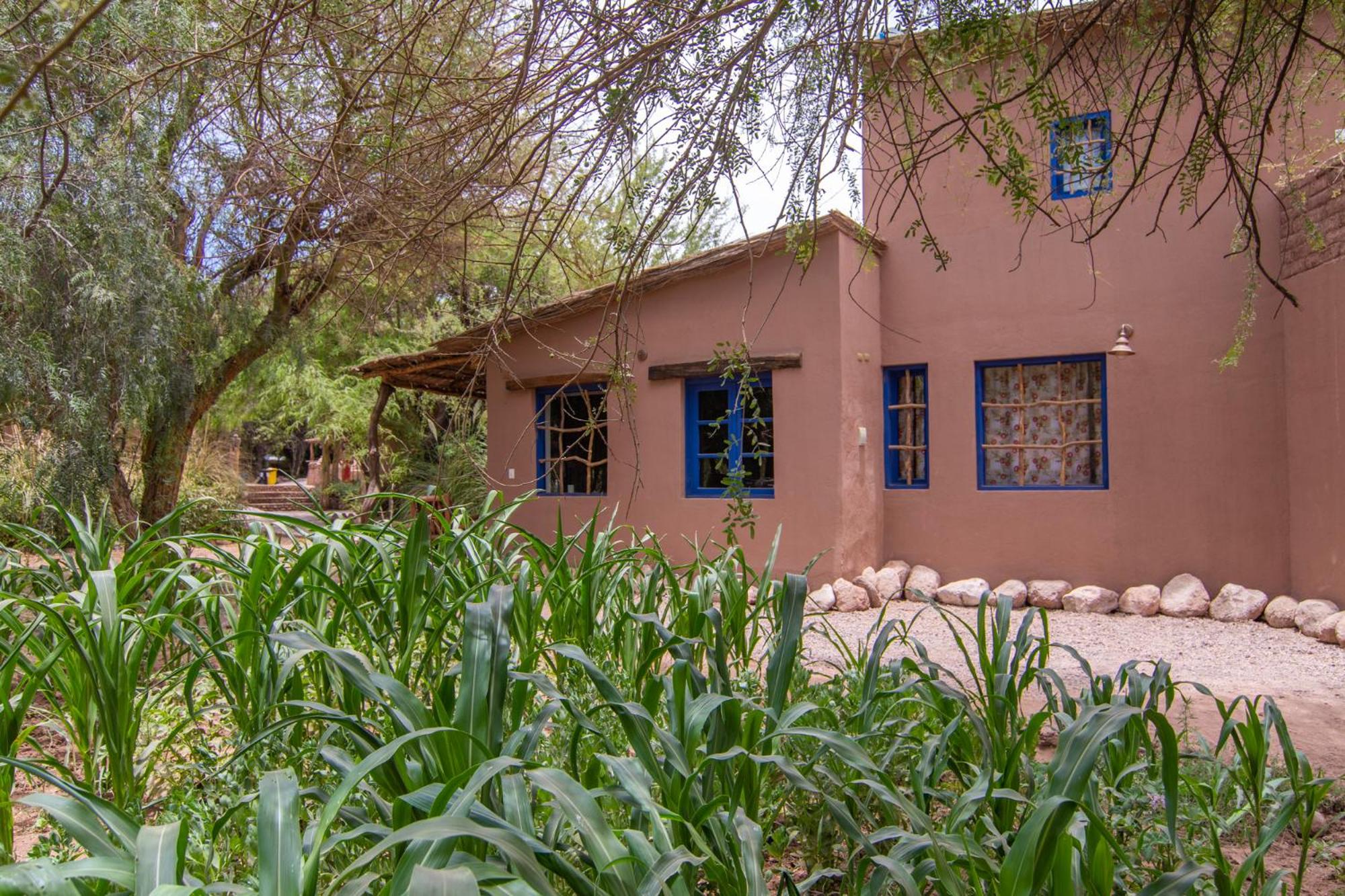 Ckoi Atacama Lodge