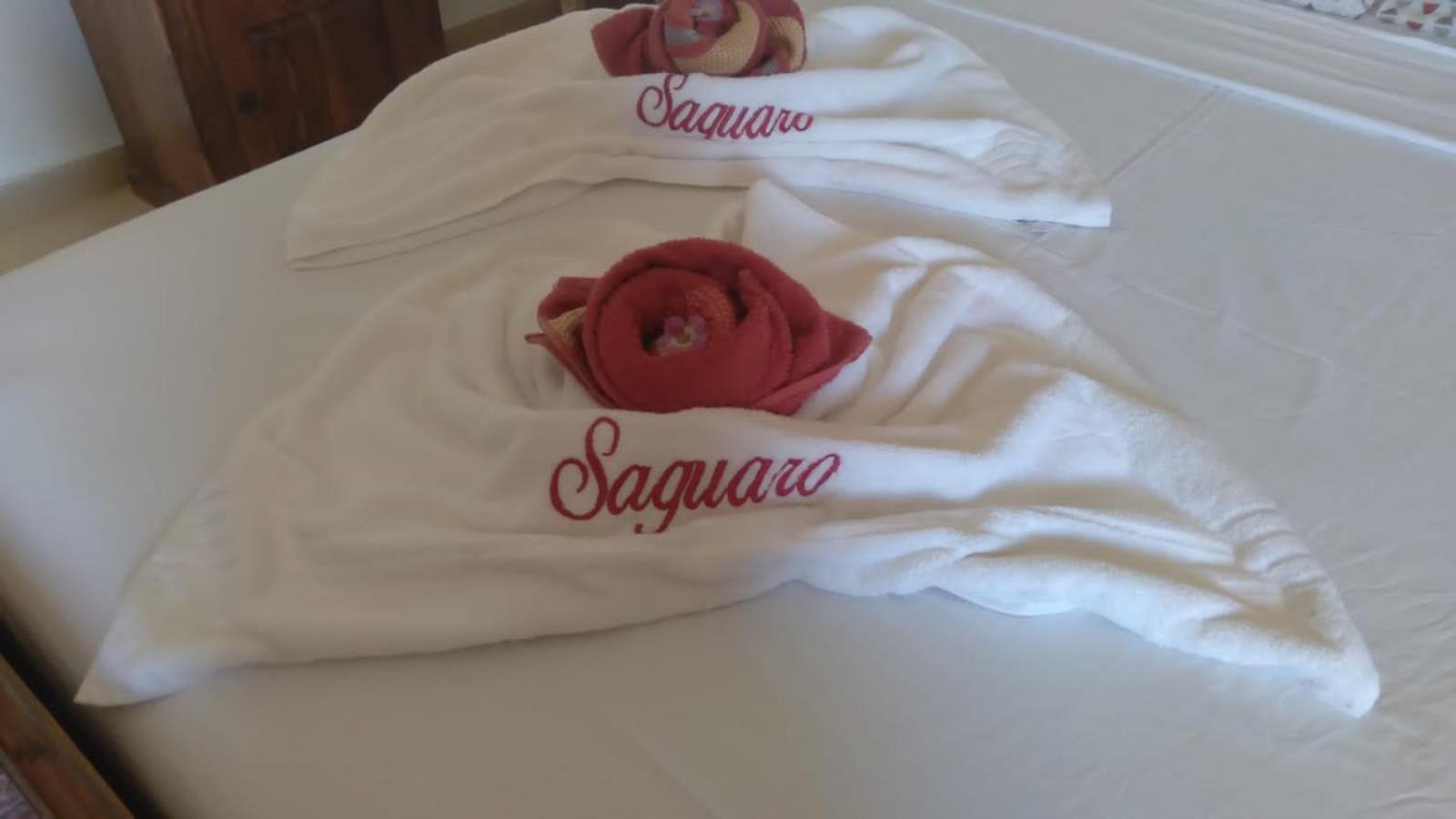 Vila Saguaro