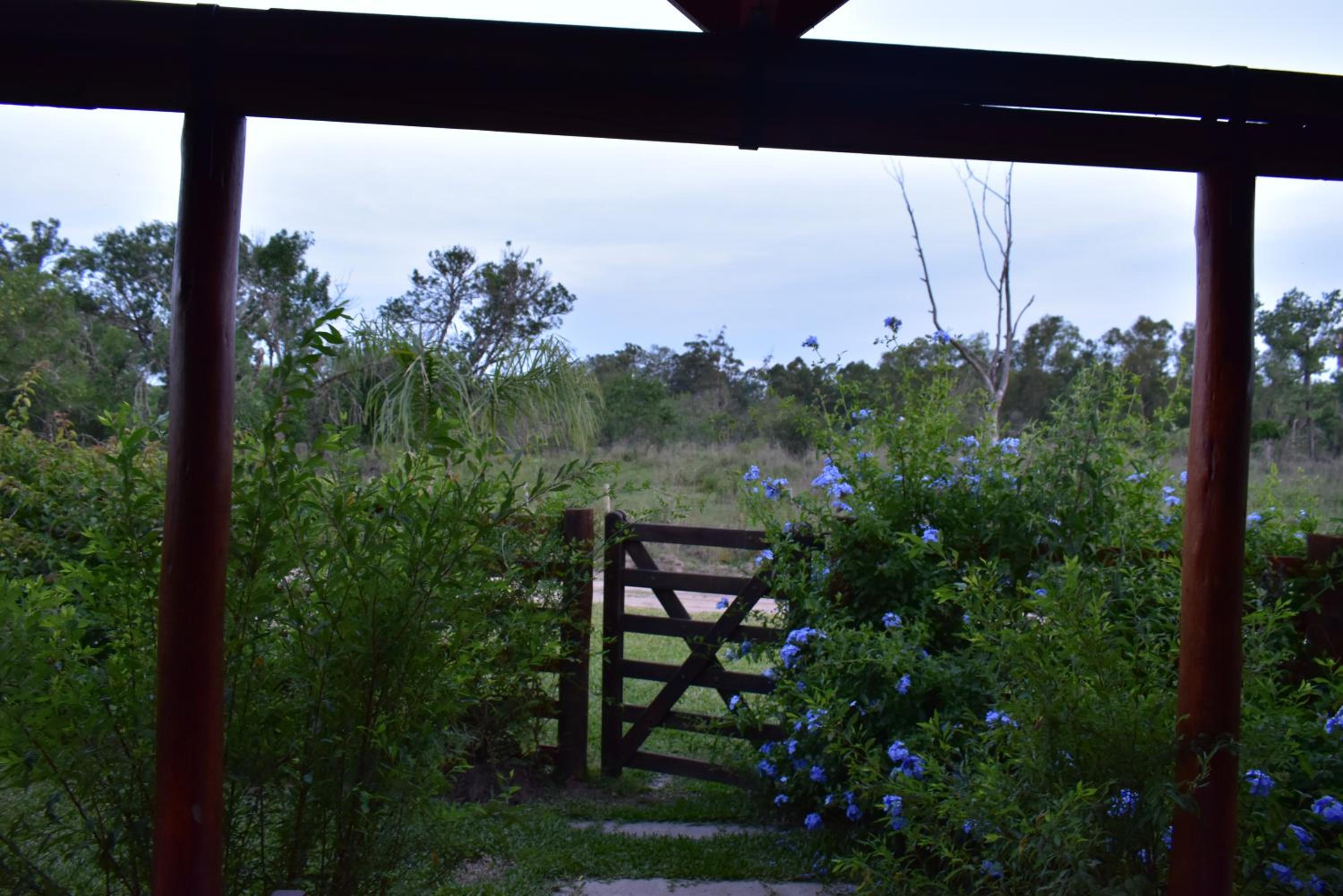 Rincon del lago