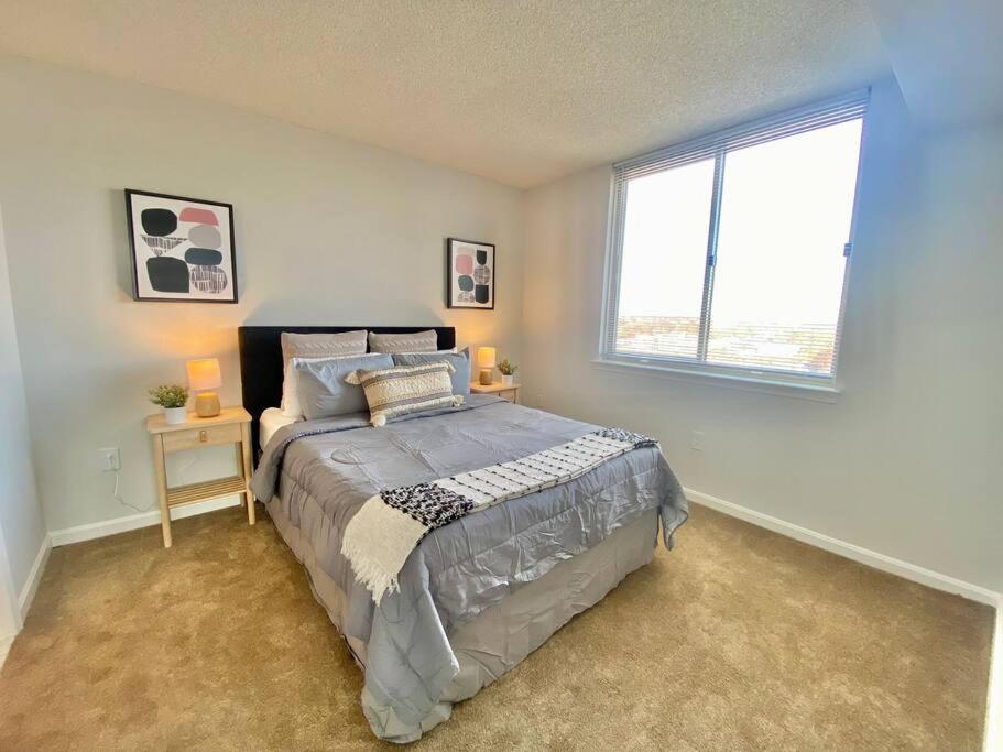 Gorgeous 2 BR Bedroom Condo At Ballston place with gym 2011 - Property Image 11