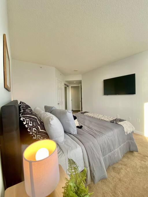 Gorgeous 2 BR Bedroom Condo At Ballston place with gym 2011 - Property Image 1