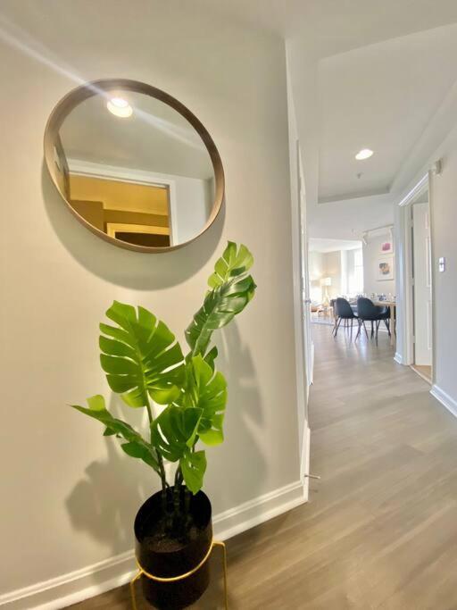Gorgeous 2 BR Bedroom Condo At Ballston place with gym 2011 - Property Image 8