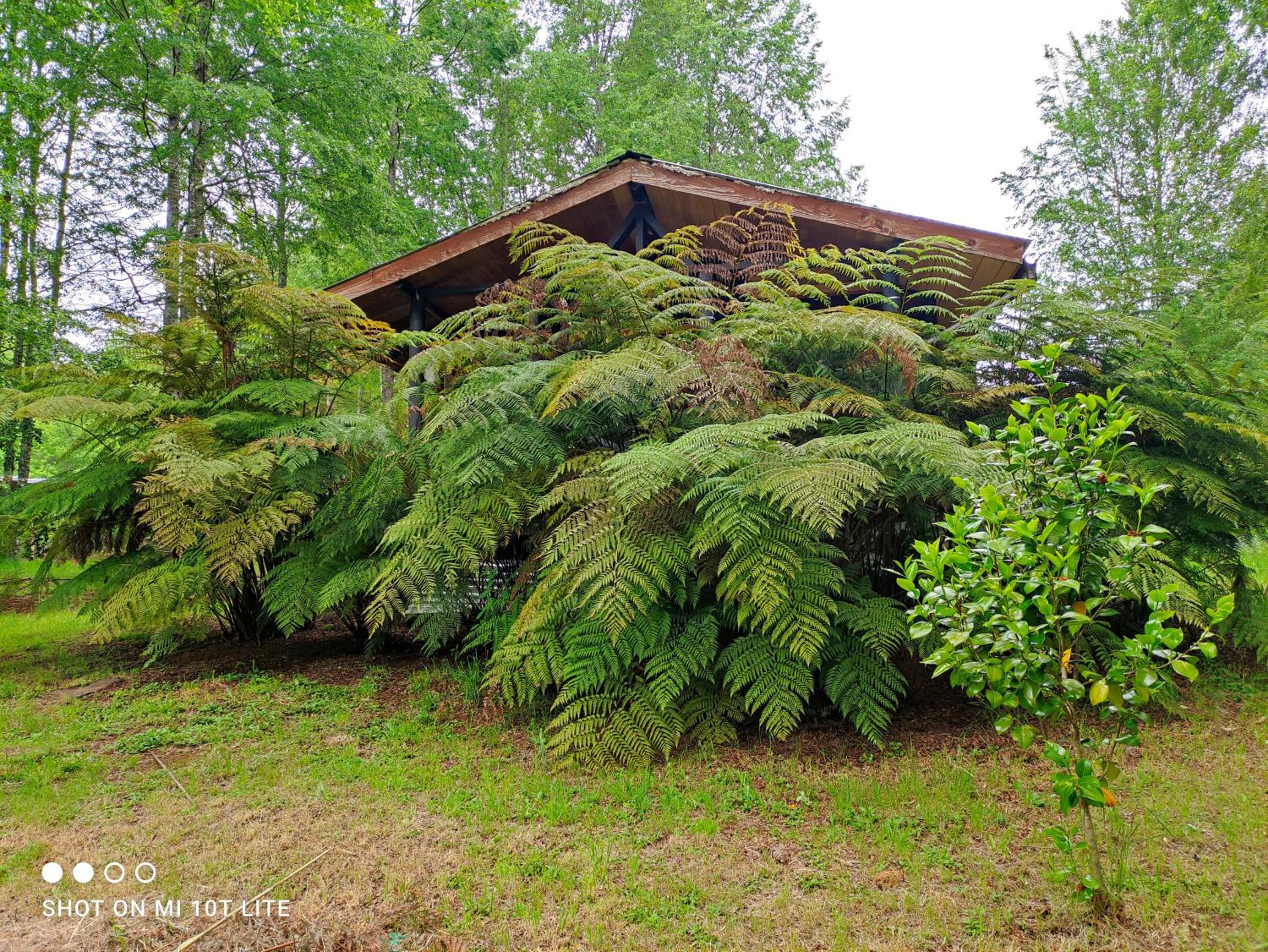 Relun Lodge