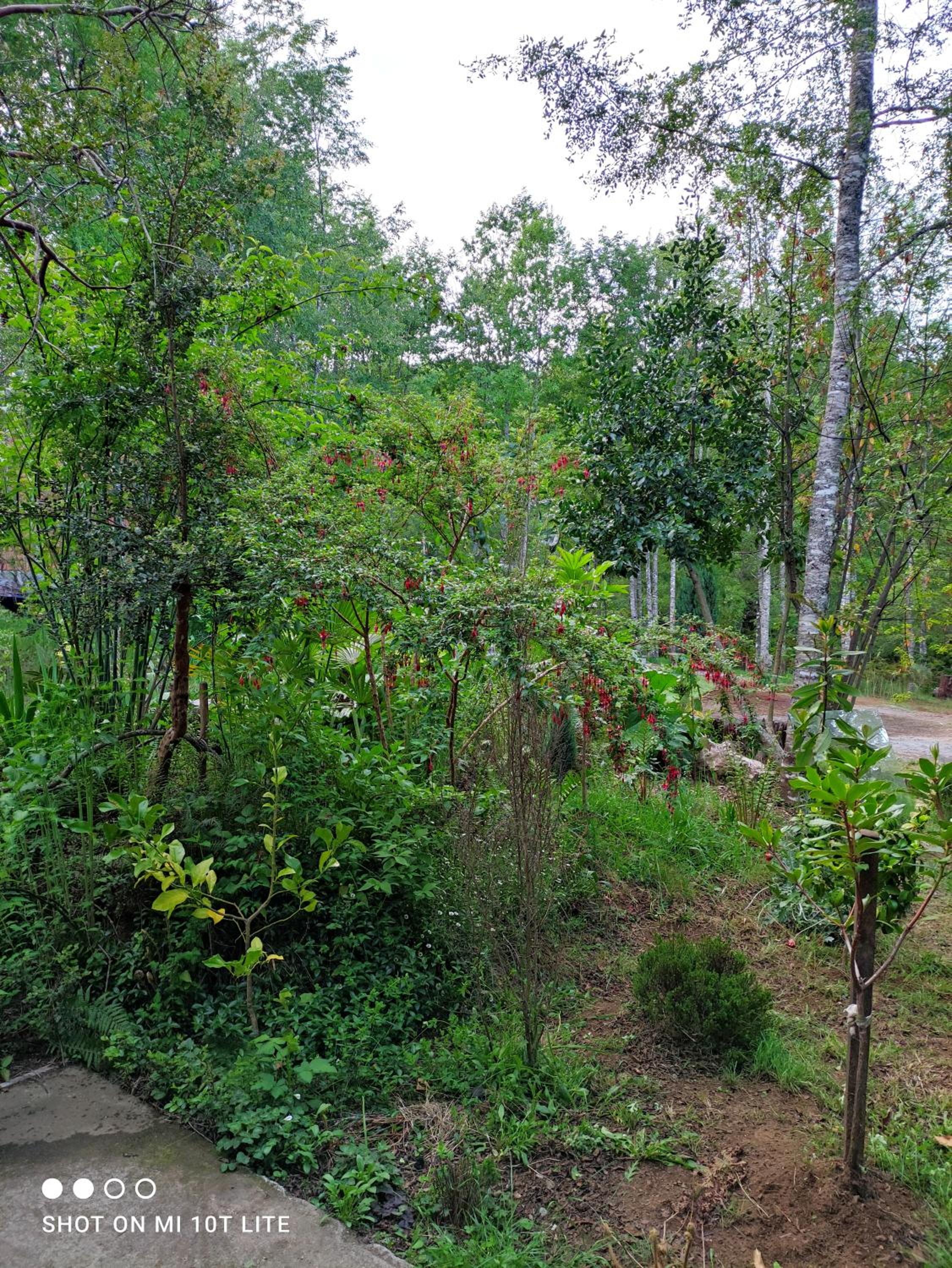 Relun Lodge