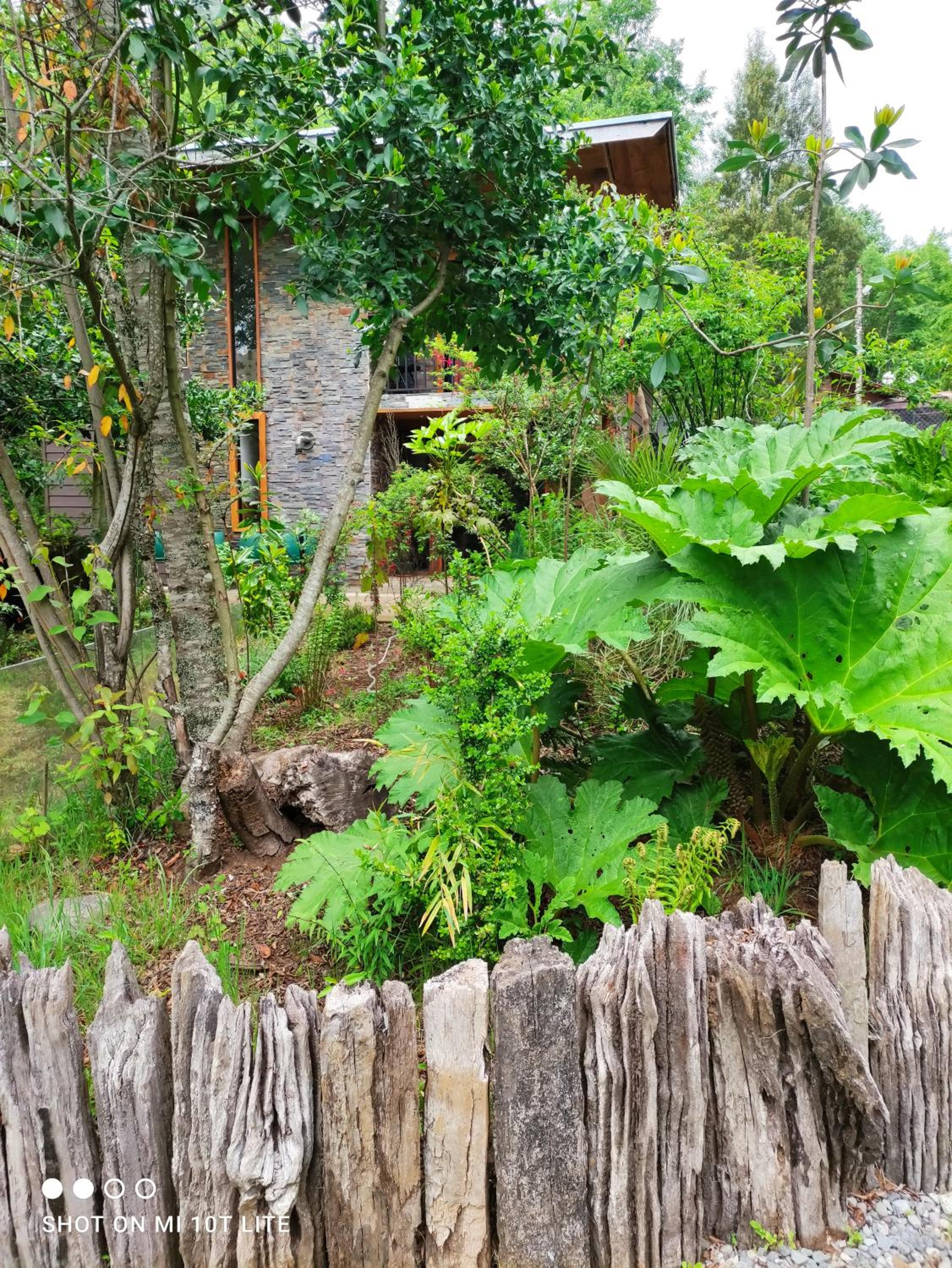 Relun Lodge