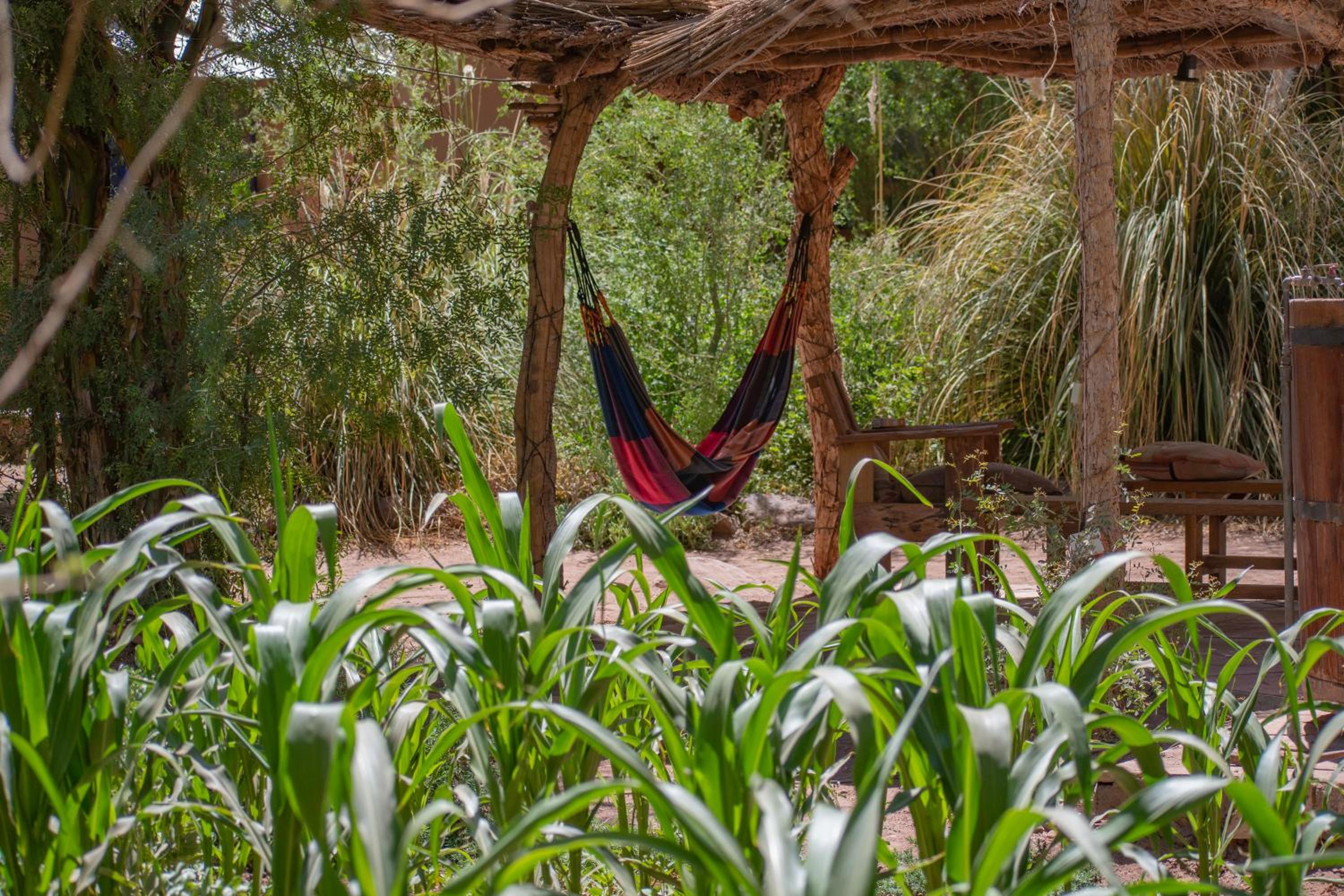 Ckoi Atacama Lodge