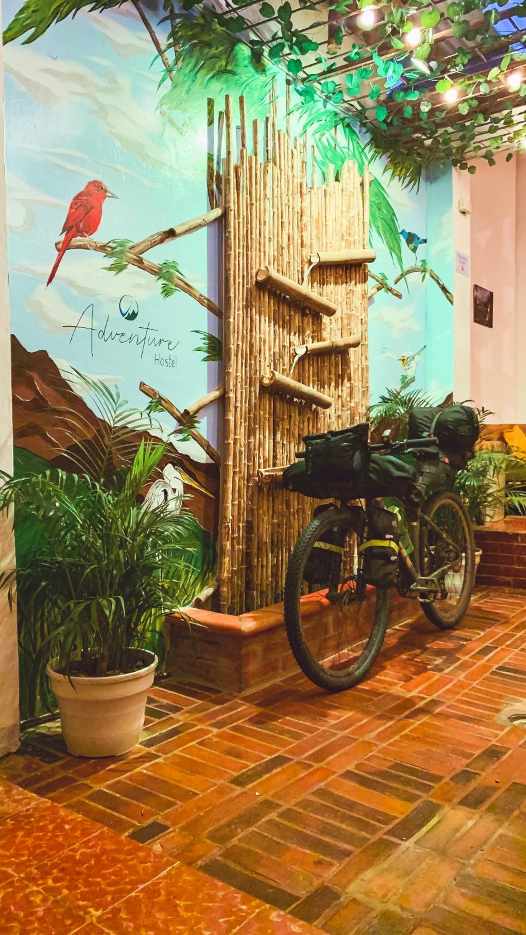 ADVENTURE Hostel