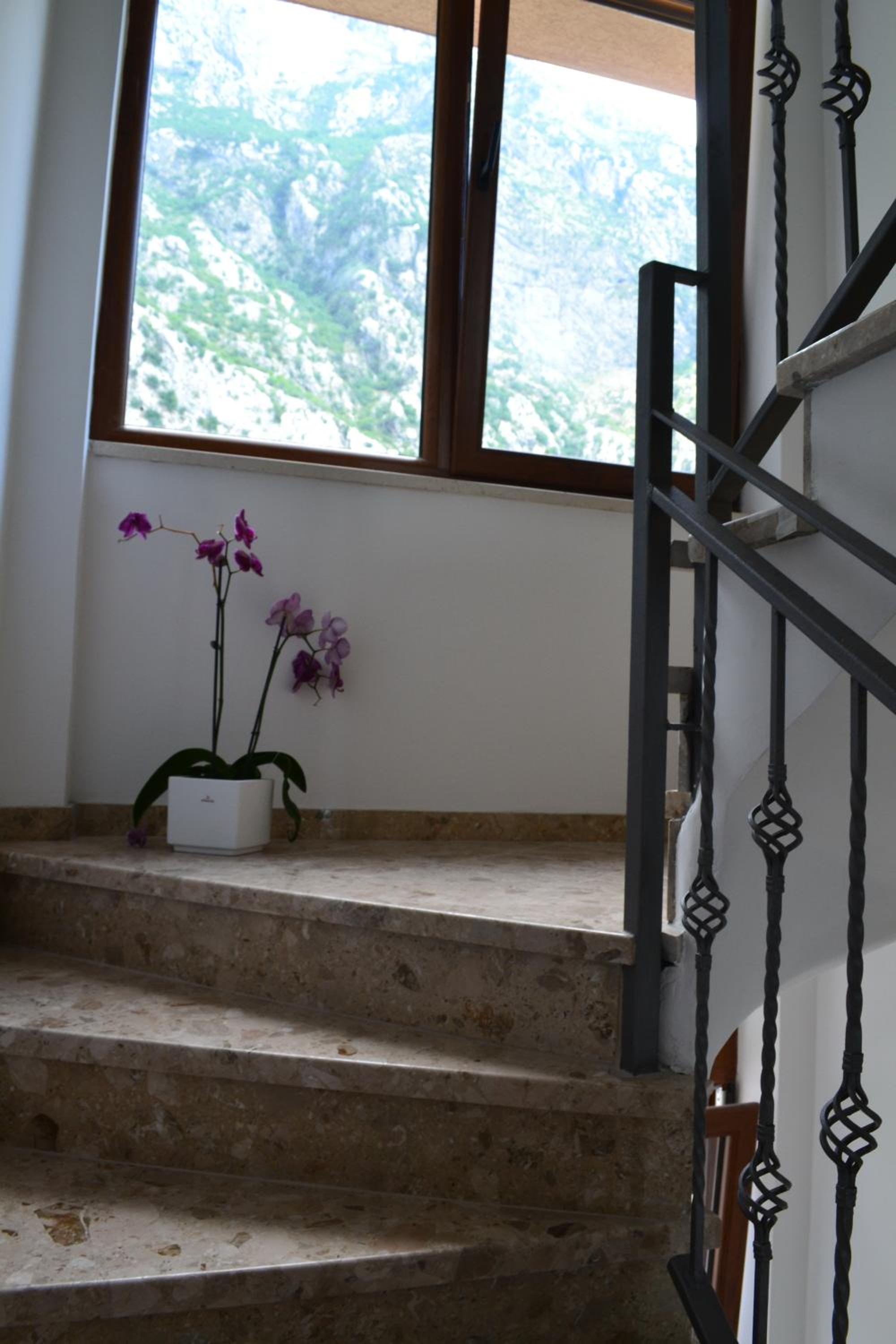 Bocche di Cattaro Apartments
