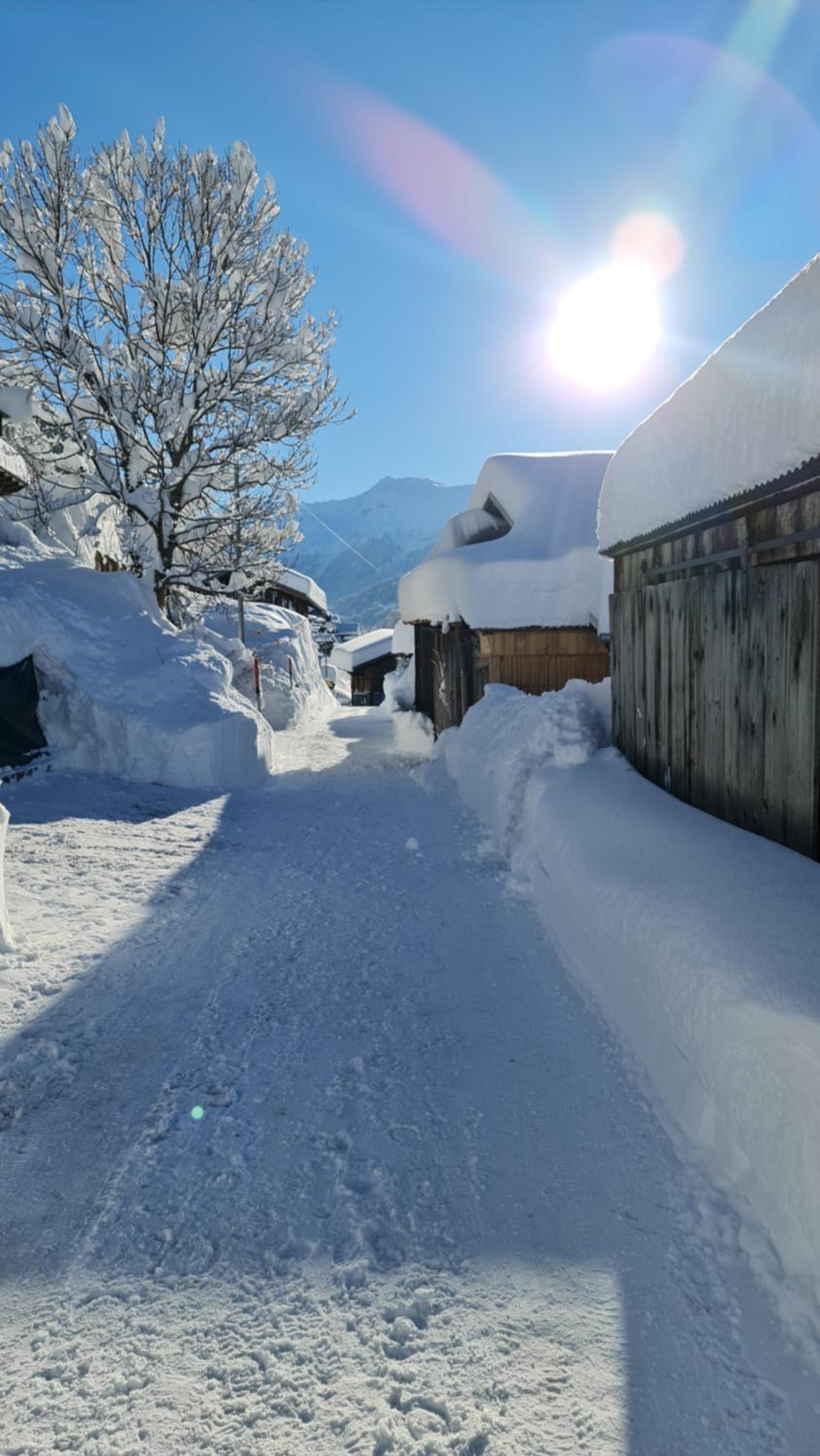 Ferienhaus & Ferienwohnung Wiñay Wayna Gotschna Blick Klosters