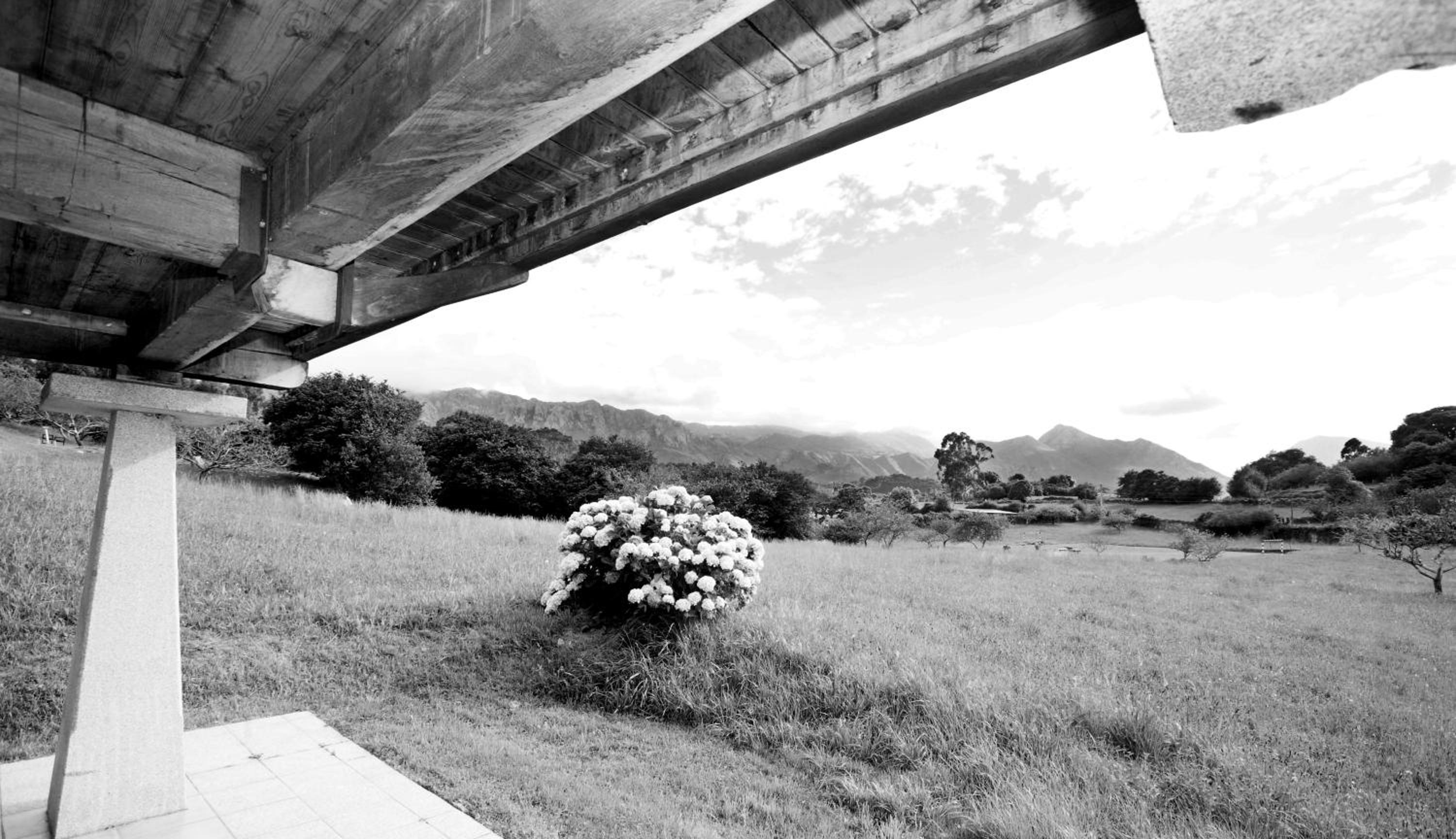 Apartamentos Turísticos Las Nieves