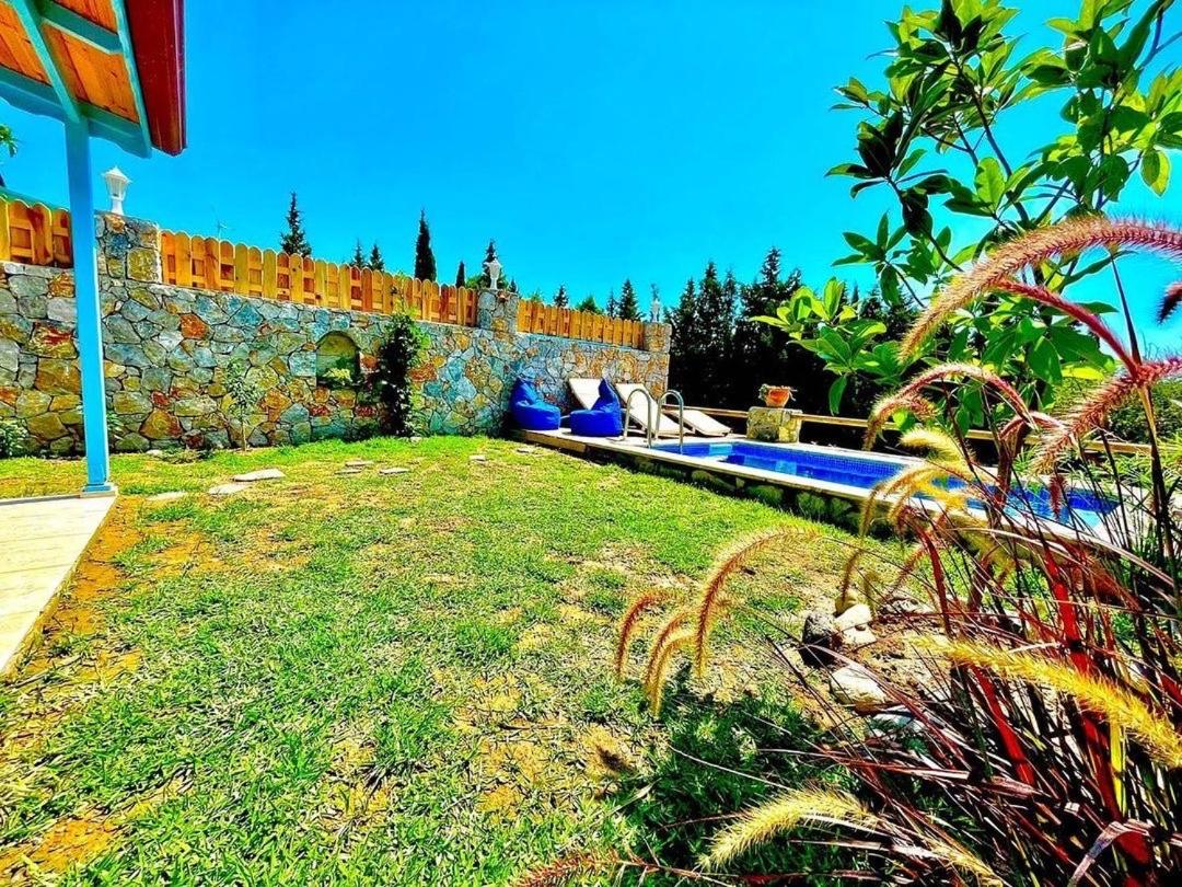 Photo 43