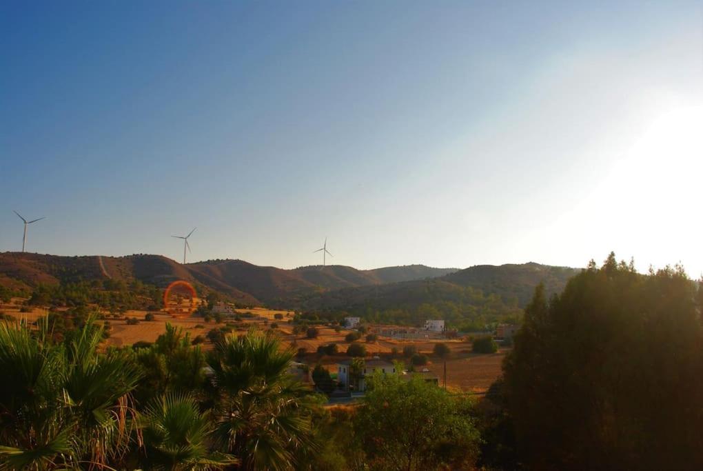 Photo 42