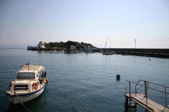 Photo 46
