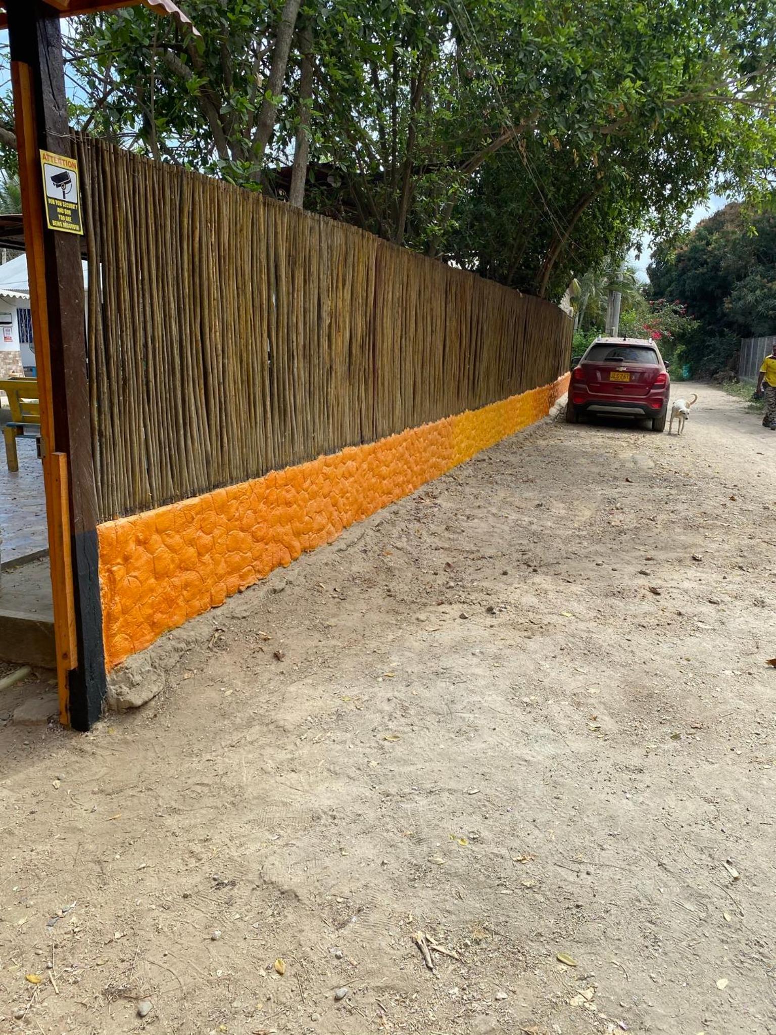 Photo 19