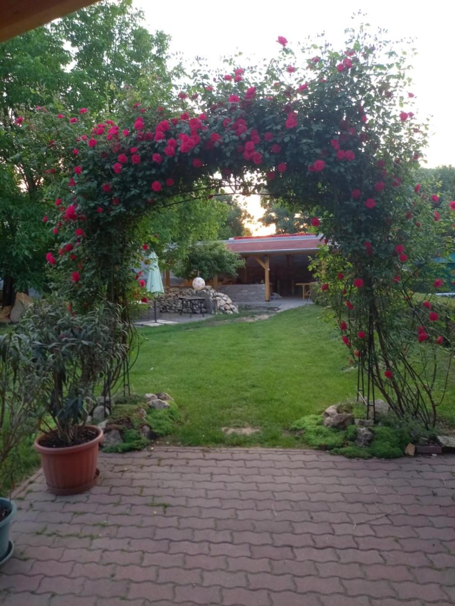 Photo 47