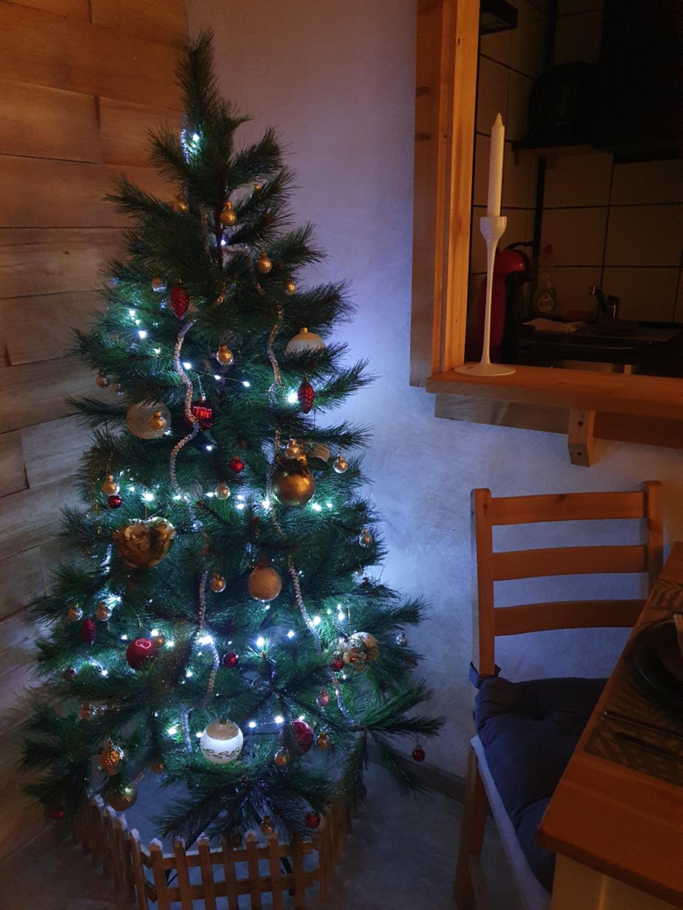 Photo 8