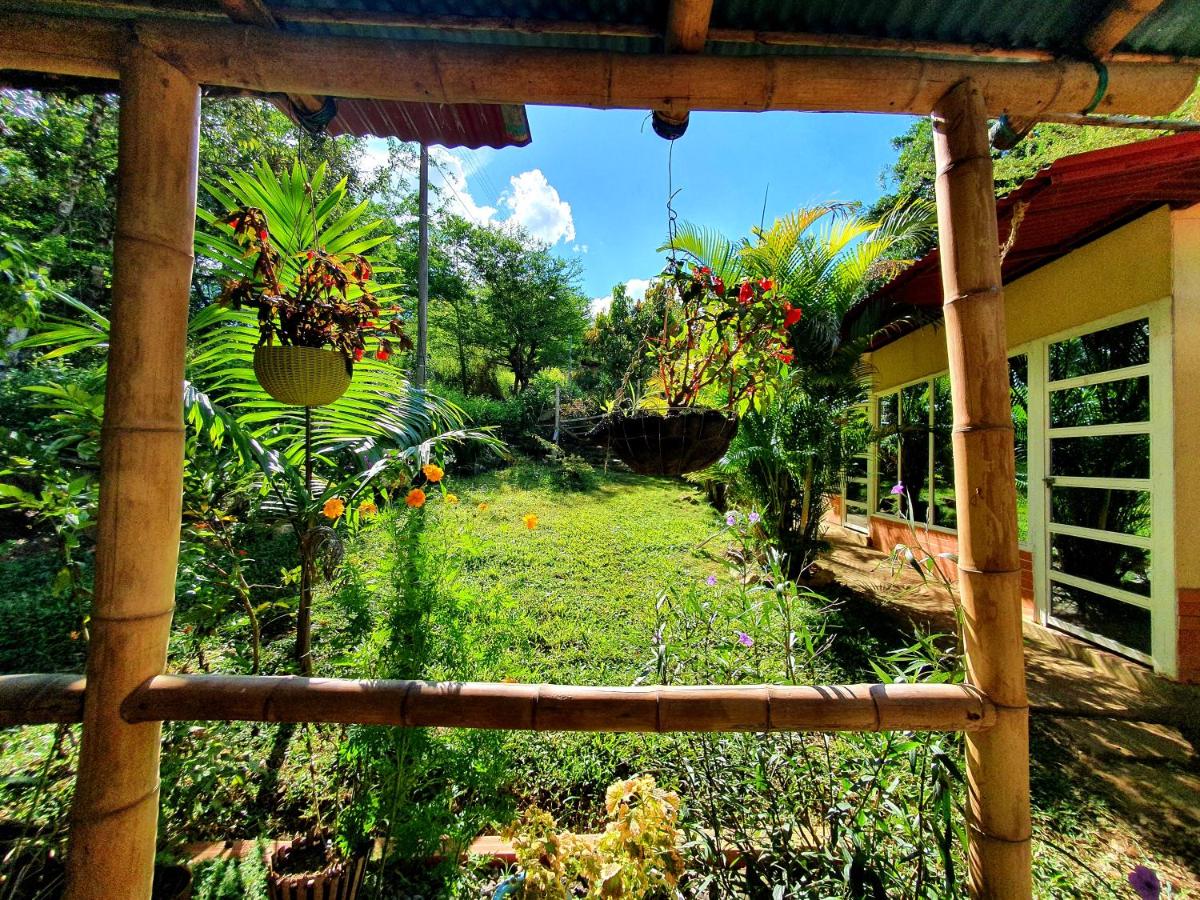 Hotel Travesía Ecológica