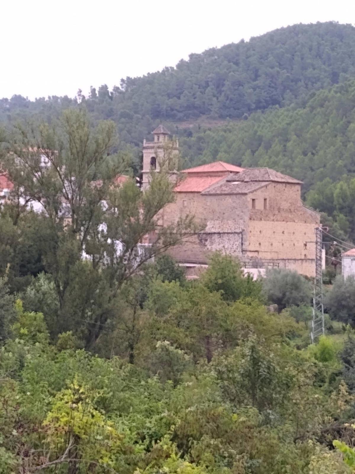 Photo 23