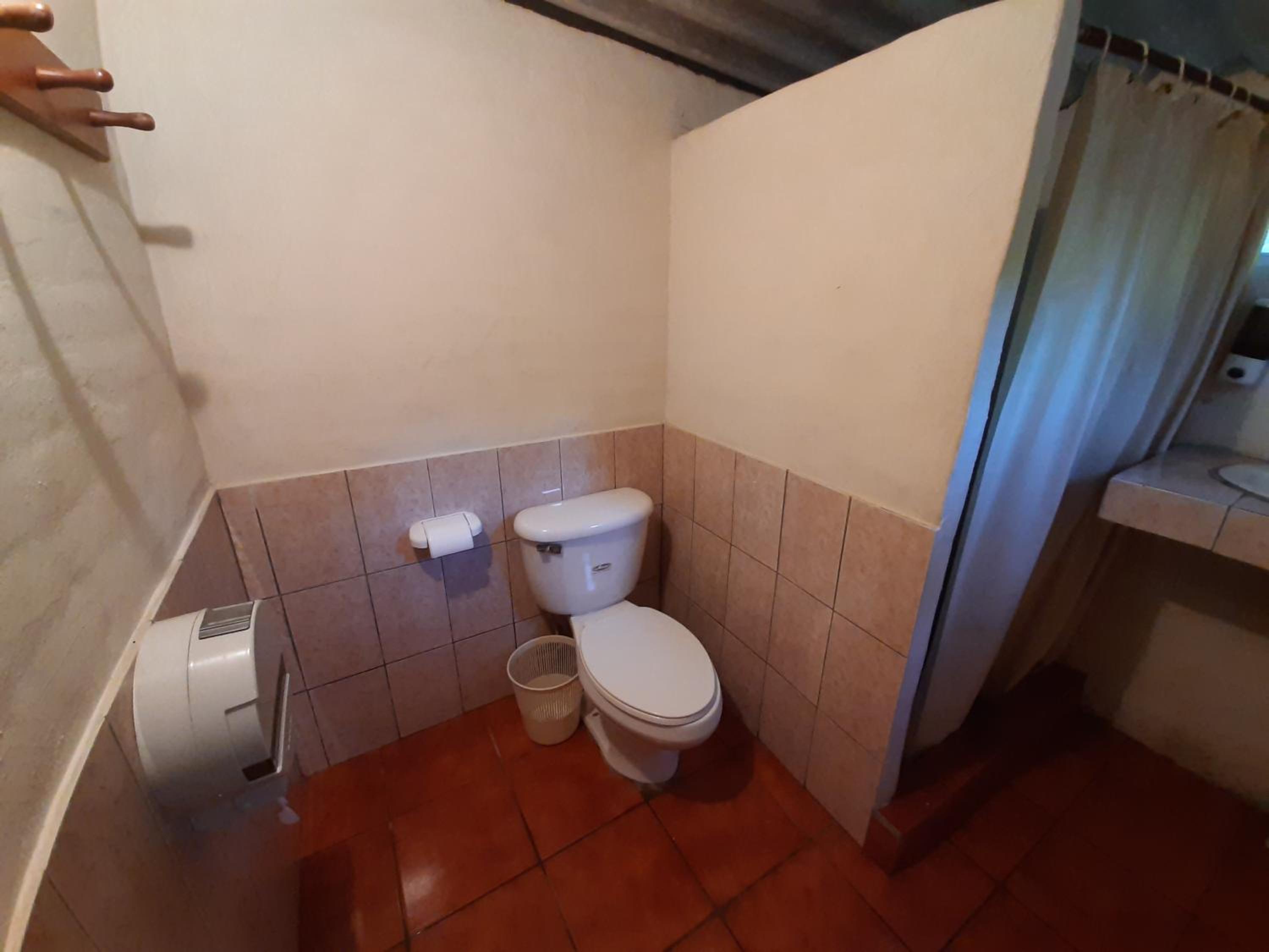 Photo 36