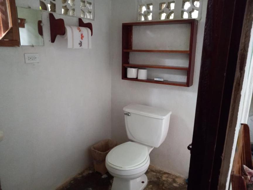 Belize Vacations - Clarissa Falls Resort - Property Image 37