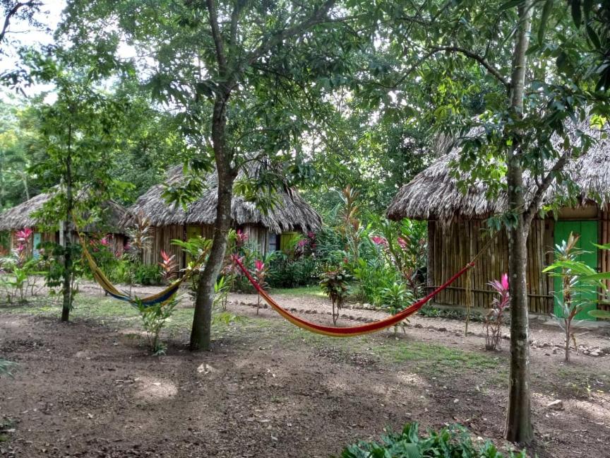 Belize Vacations - Clarissa Falls Resort - Property Image 50