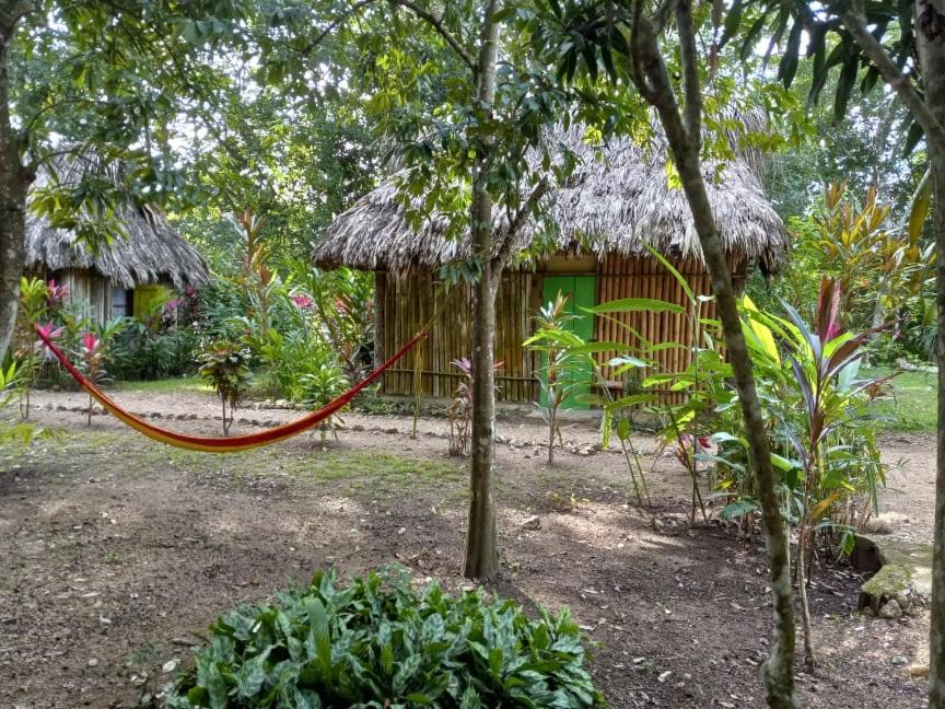 Belize Vacations - Clarissa Falls Resort - Property Image 4