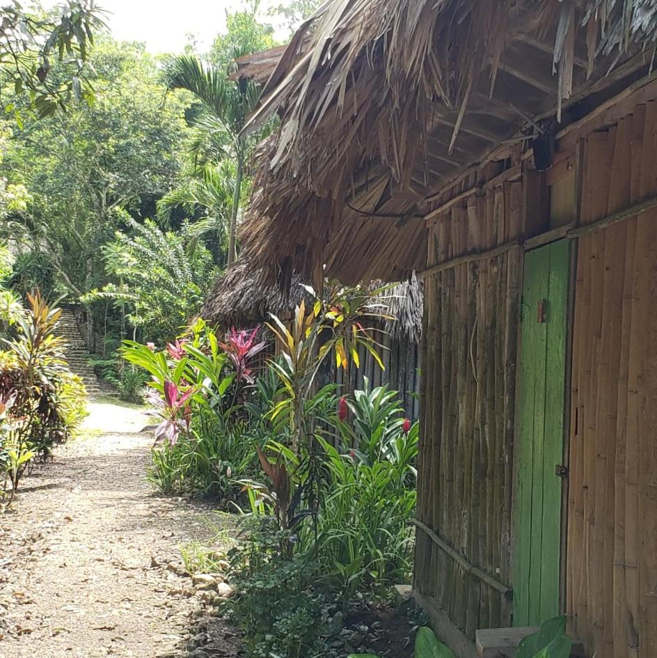 Belize Vacations - Clarissa Falls Resort - Property Image 8