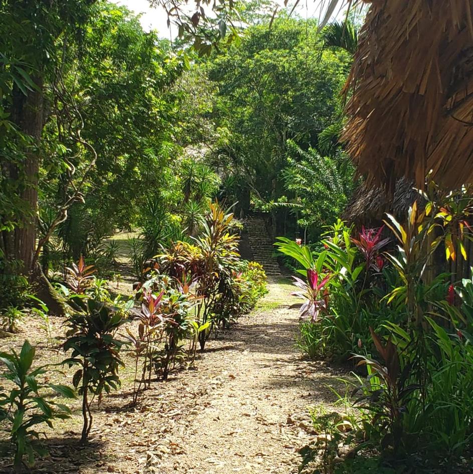 Belize Vacations - Clarissa Falls Resort - Property Image 11