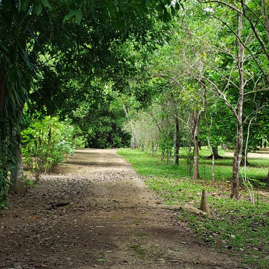 Belize Vacations - Clarissa Falls Resort - Property Image 12