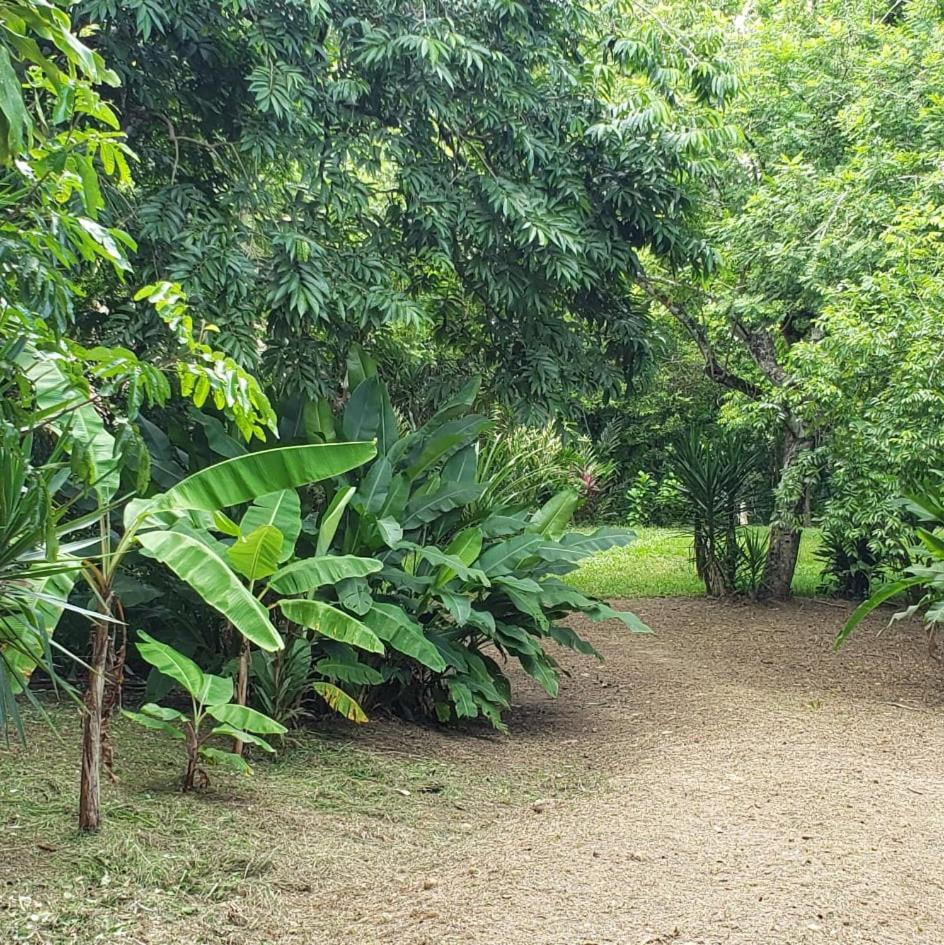 Belize Vacations - Clarissa Falls Resort - Property Image 13