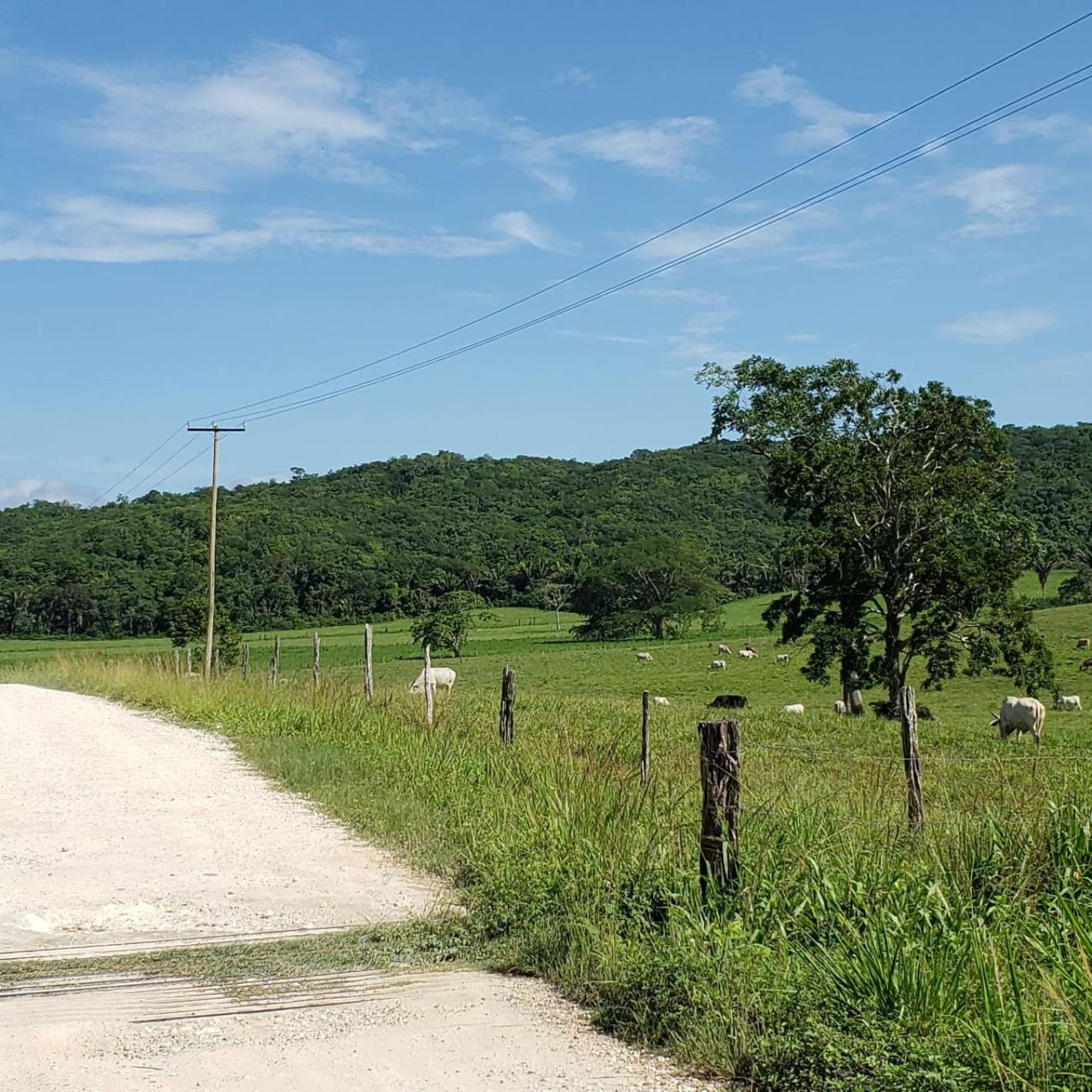 Belize Vacations - Clarissa Falls Resort - Property Image 17