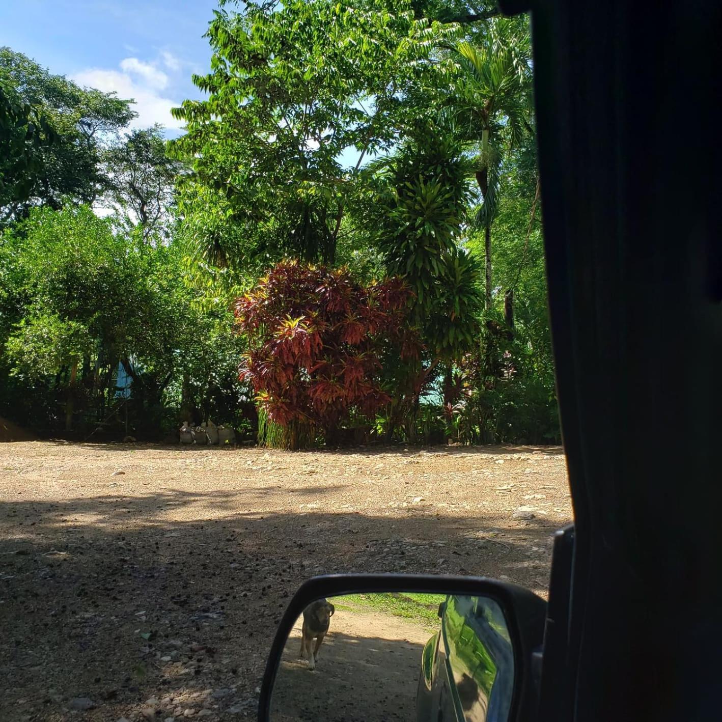 Belize Vacations - Clarissa Falls Resort - Property Image 20