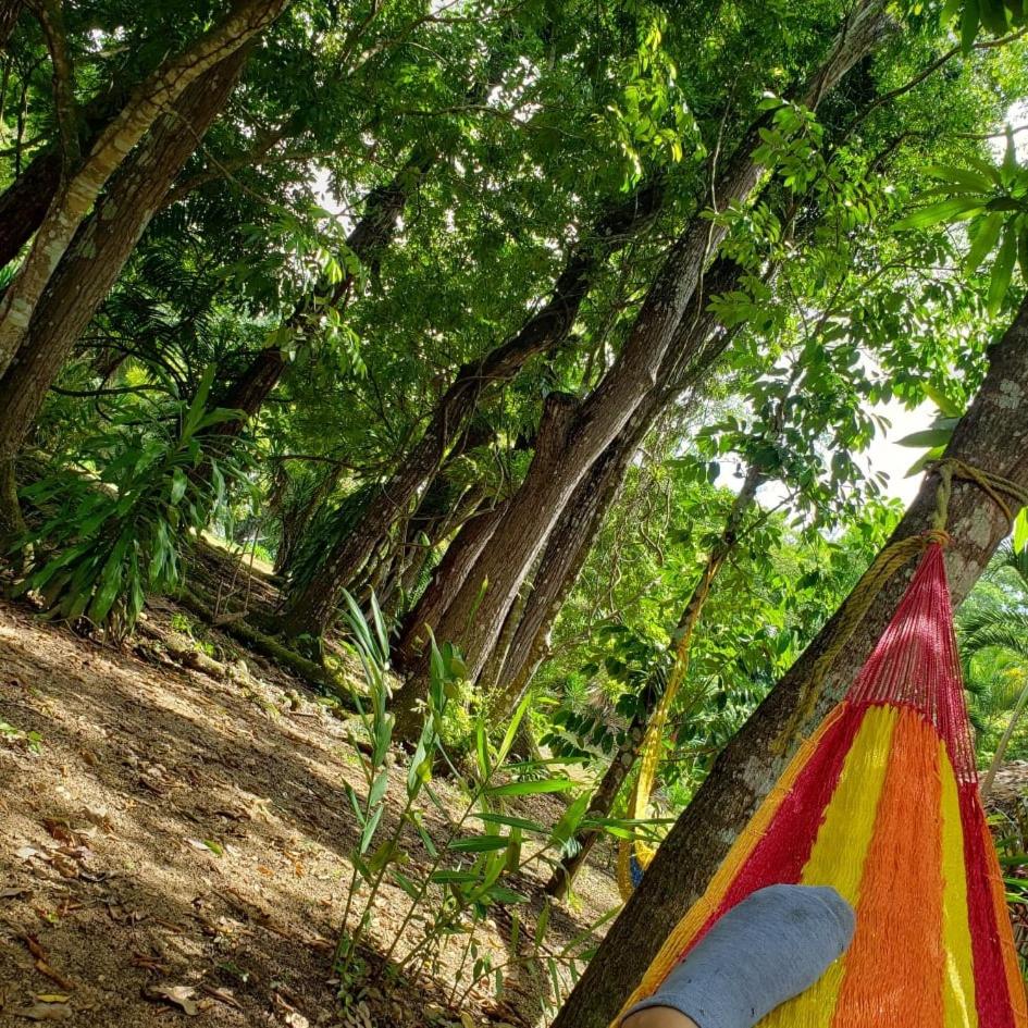 Belize Vacations - Clarissa Falls Resort - Property Image 22
