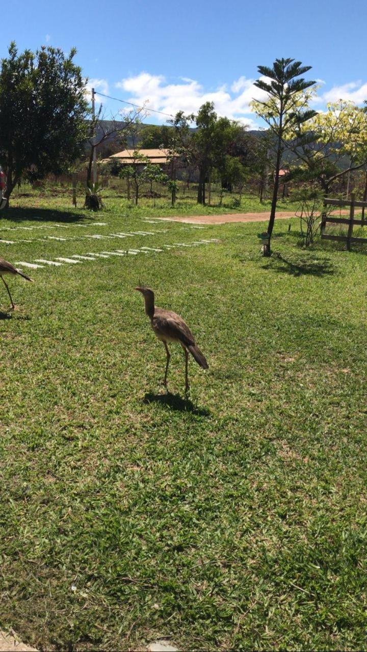 Sítio Lourenço Marques Serra do Cipó MG