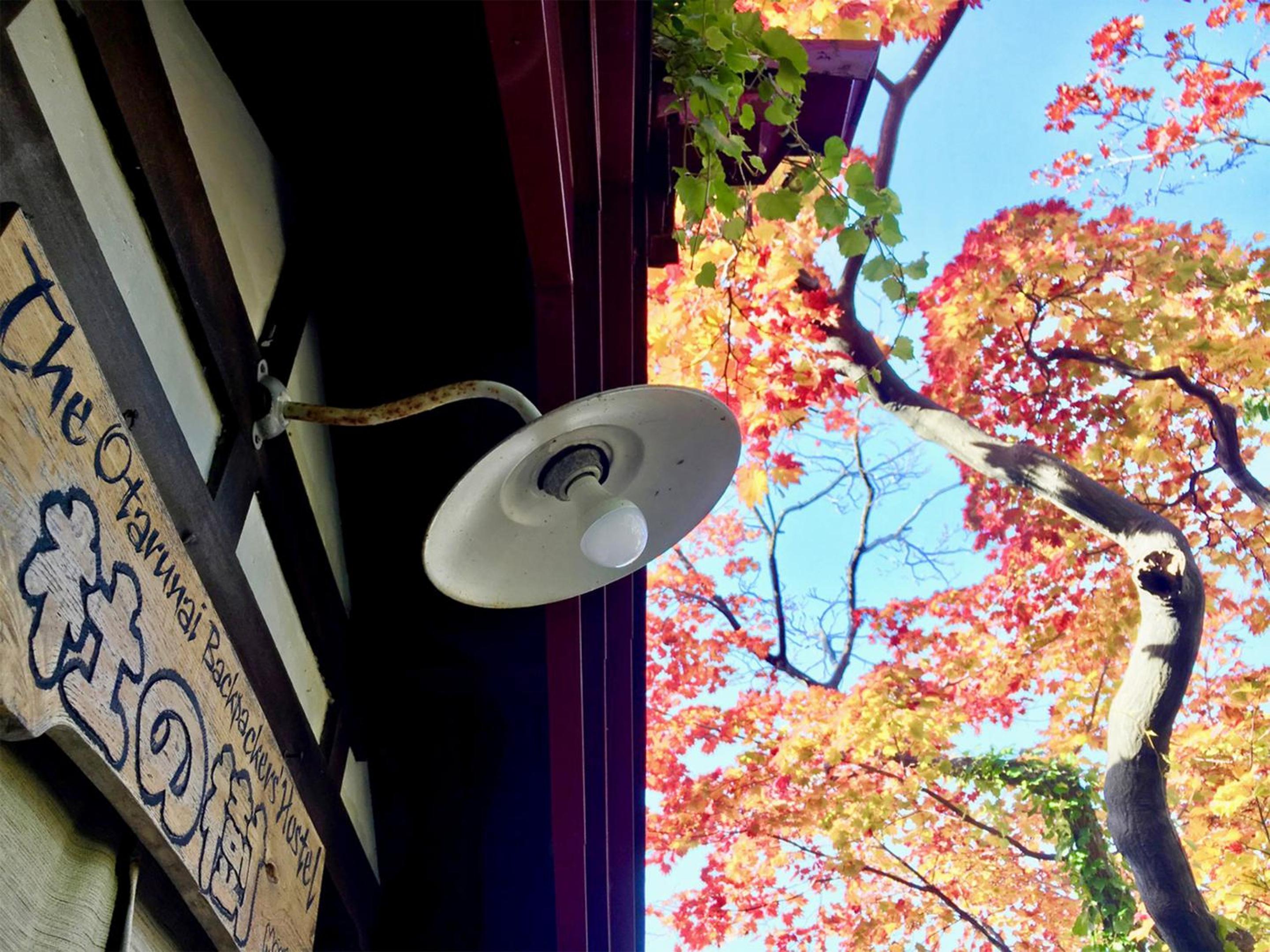 The Otaornai Backpacker's Hostel Morinoki
