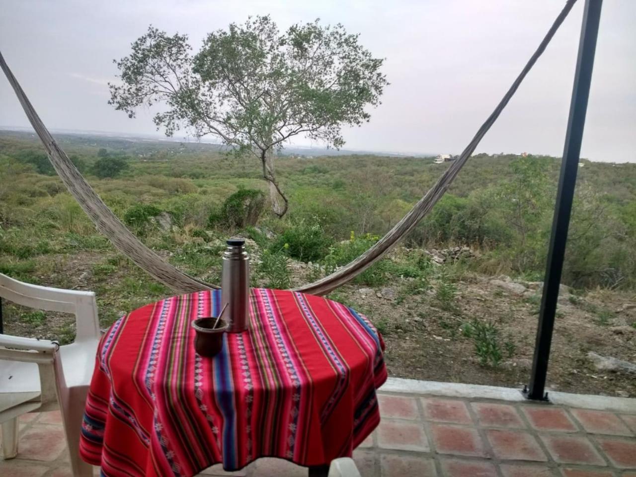 Lechuzas