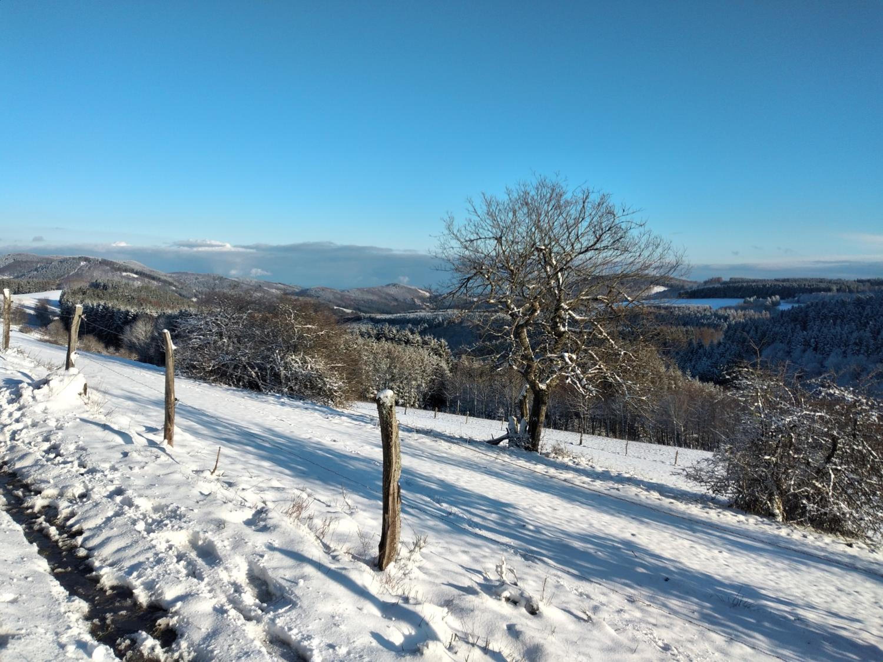 Ferienwohnung Wilmes en Winterberg
