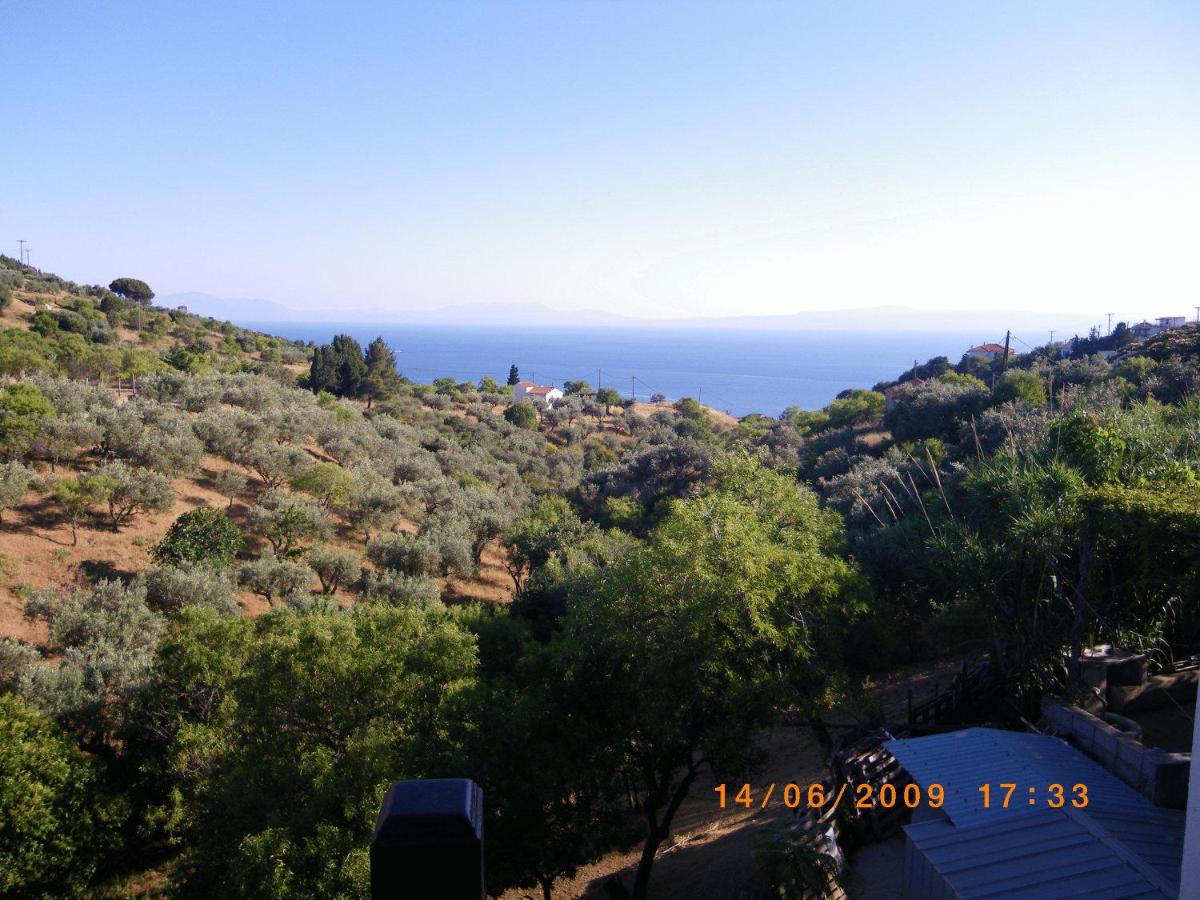 Photo 32