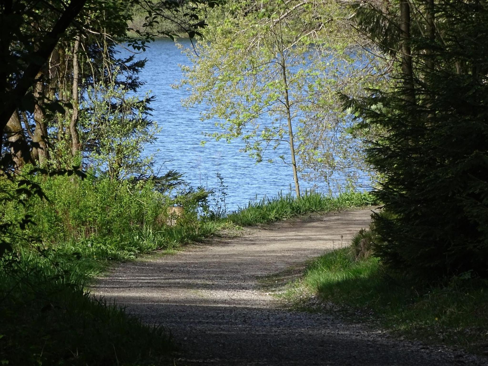 App Sweet Harz Haus am See -Panoramablick