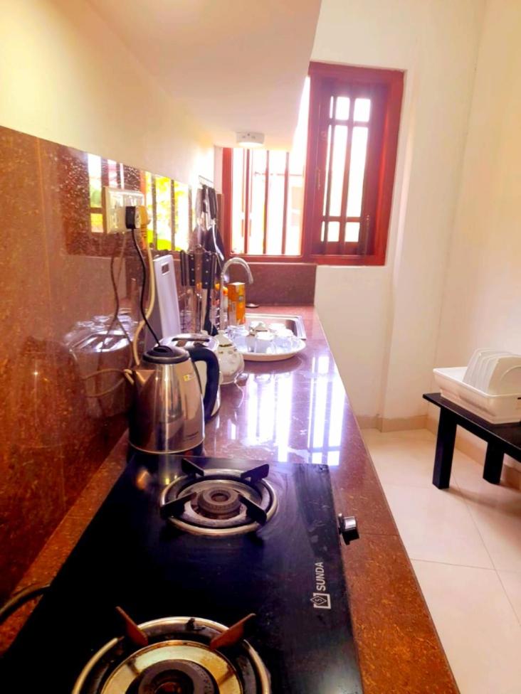 NEW SEA LION Guest House view 5