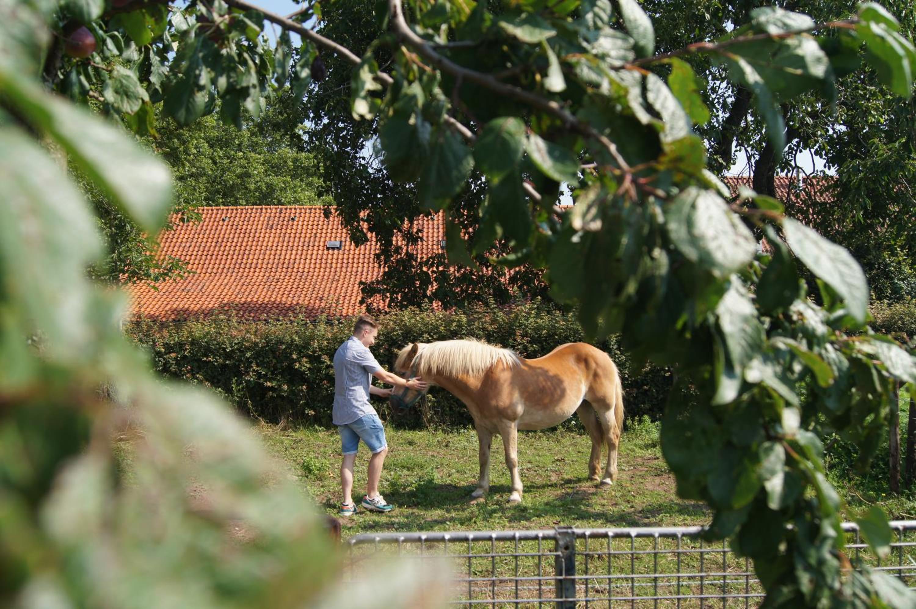 Hoeve Linnerveld XL