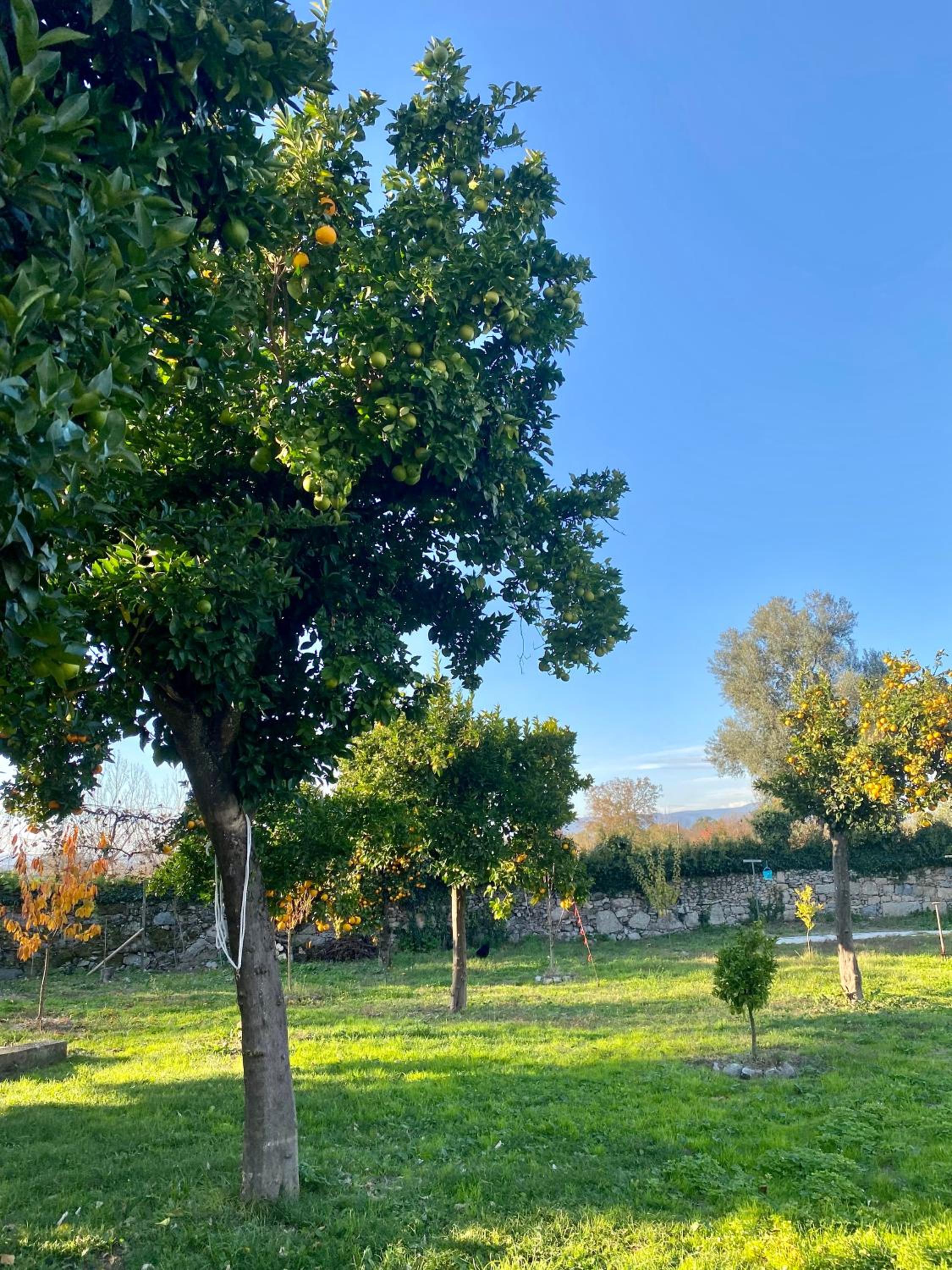 Quinta de Areias en Crespos