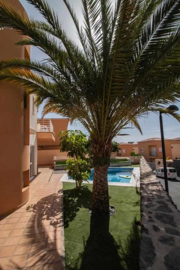 Moon Villa Los Gigantes photo 3