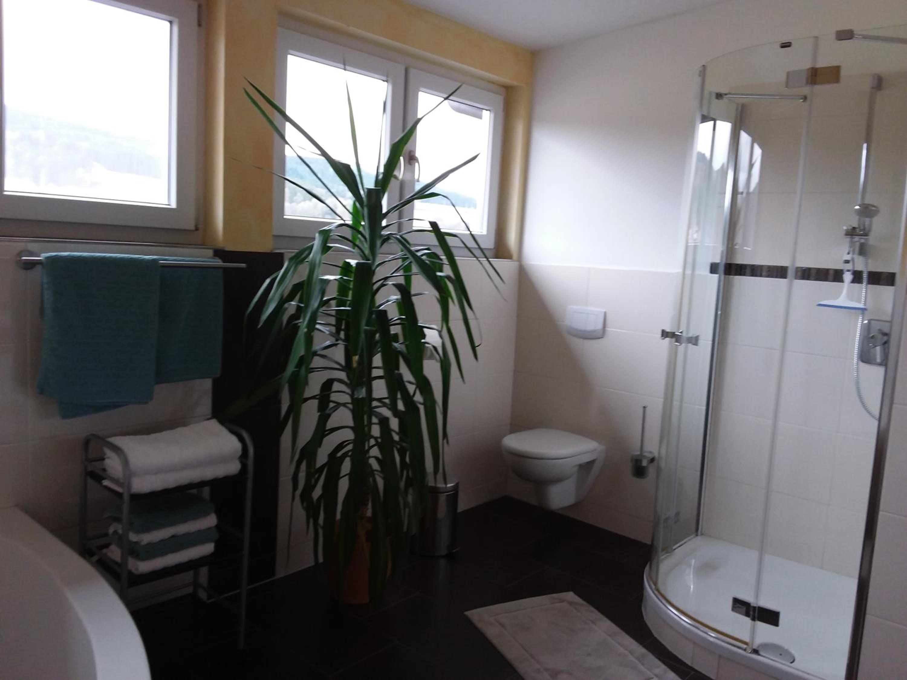 Ferienwohnung Dachs - Property Image 29