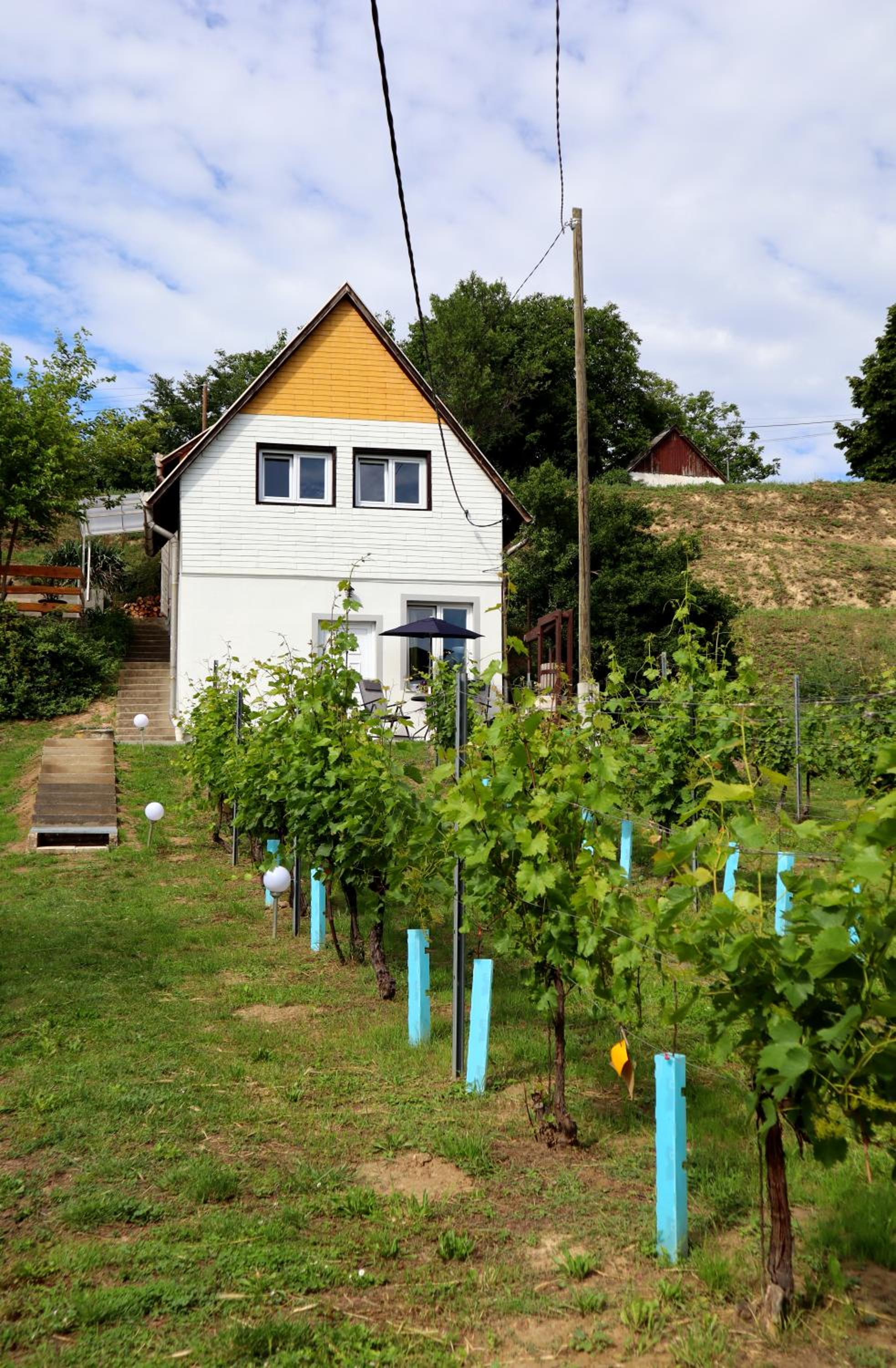 Photo 17