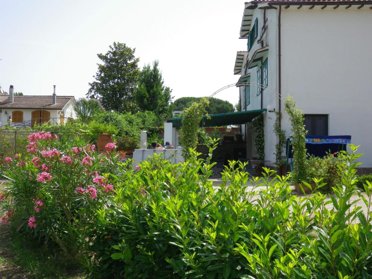 Photo 14