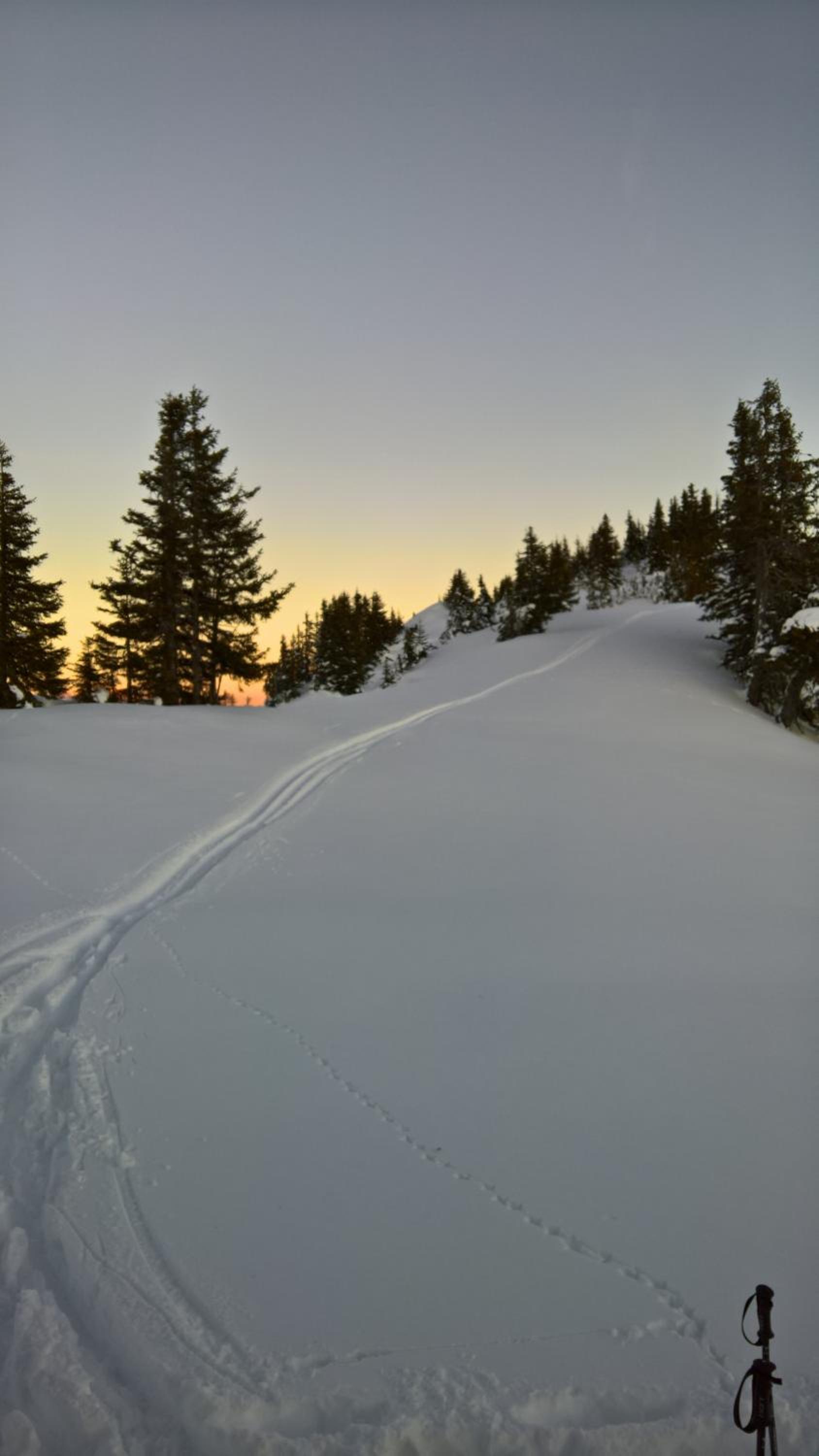 Appartement Hutter Saalbach