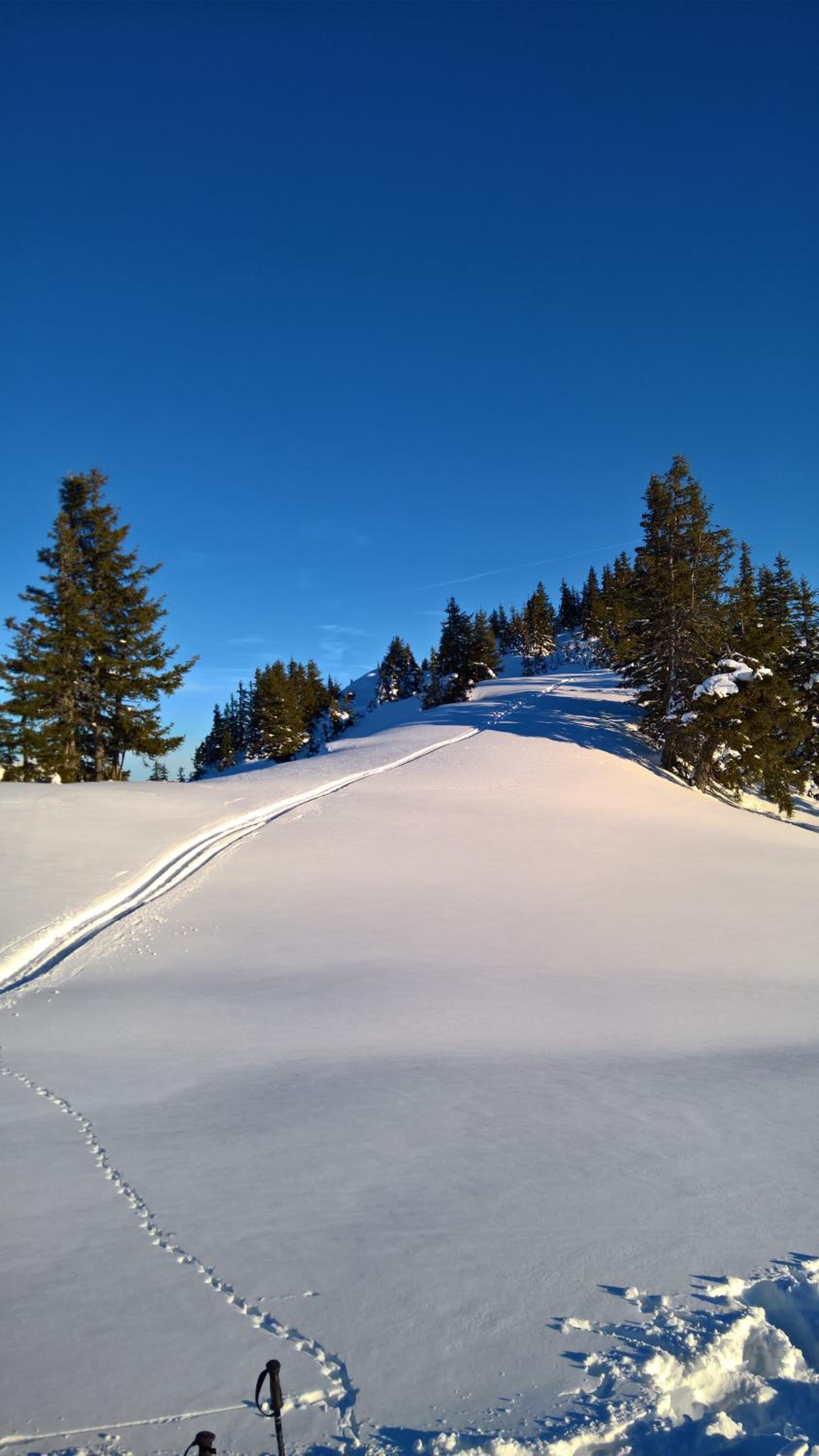 Appartement Hutter Saalbach