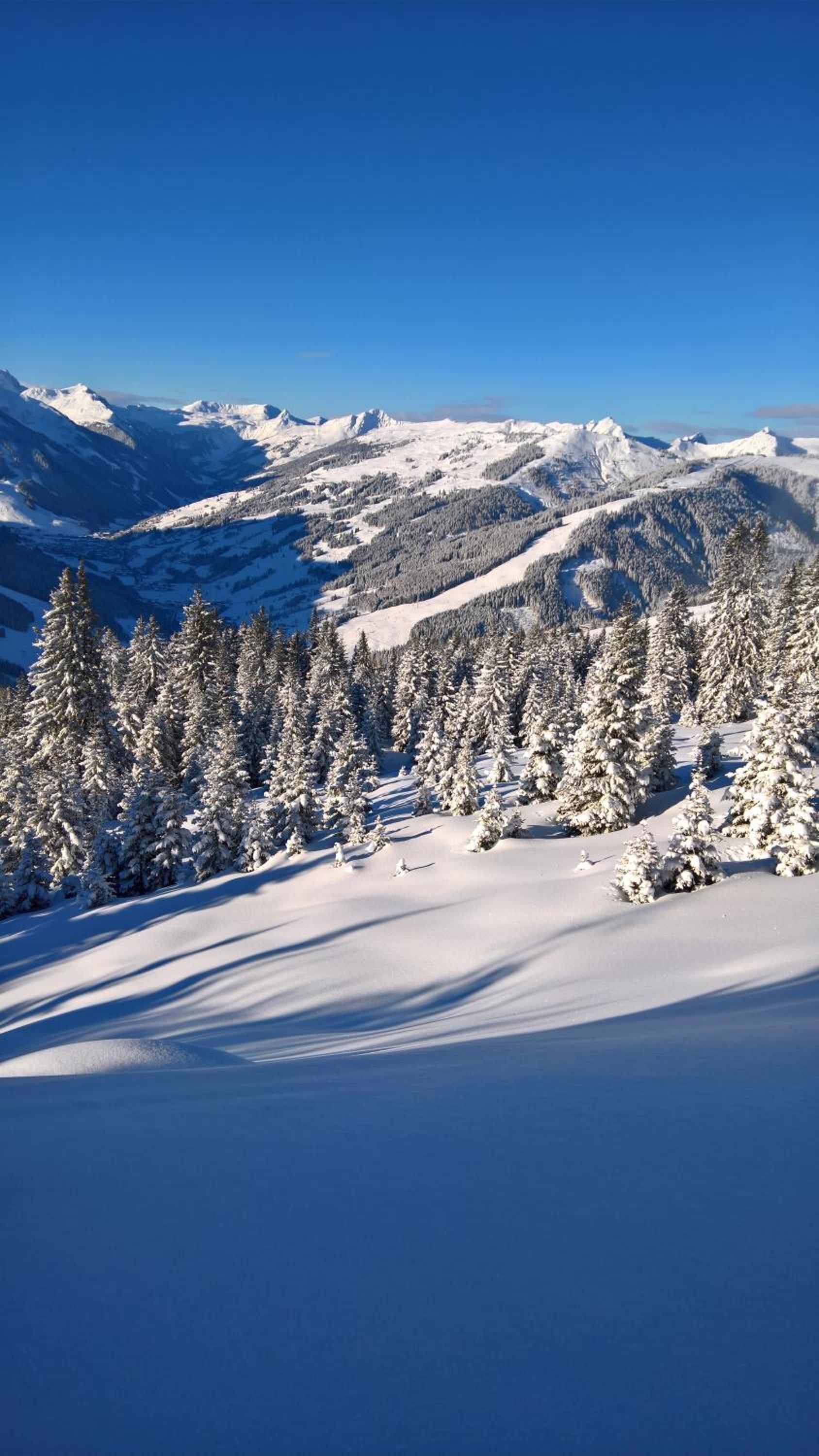 Appartement Hutter Saalbach